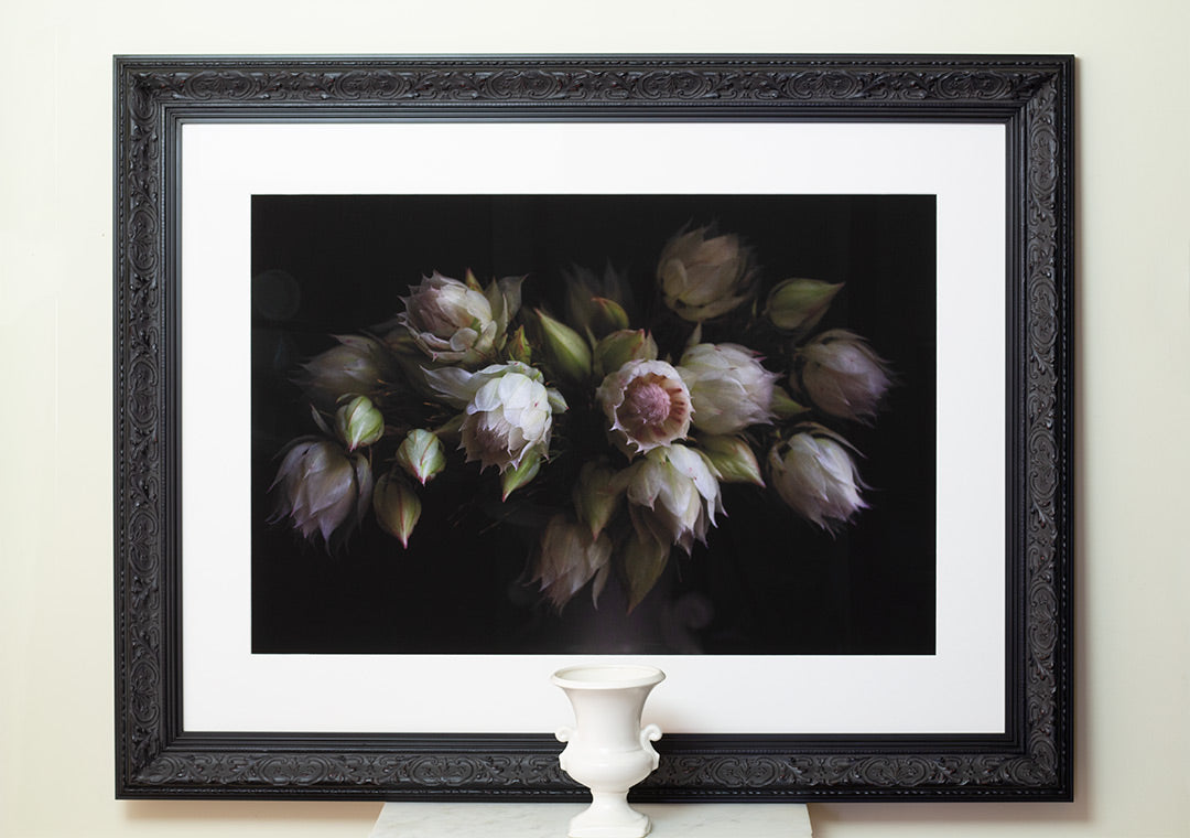 Blushing Brides - Limited Edition Print