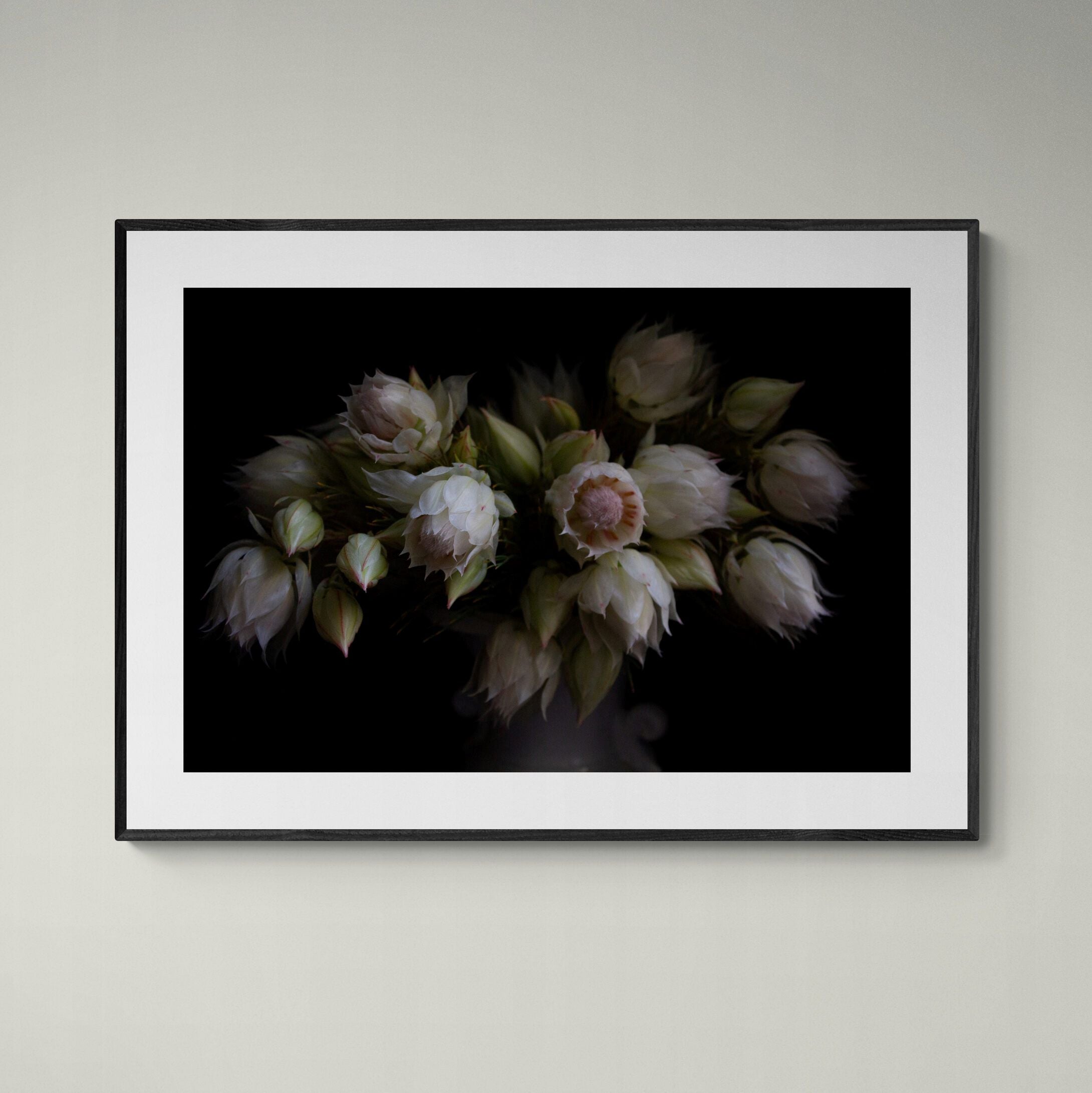 Blushing_Brides_floral_print_framed_on_wall by Kirsten Clark Art
