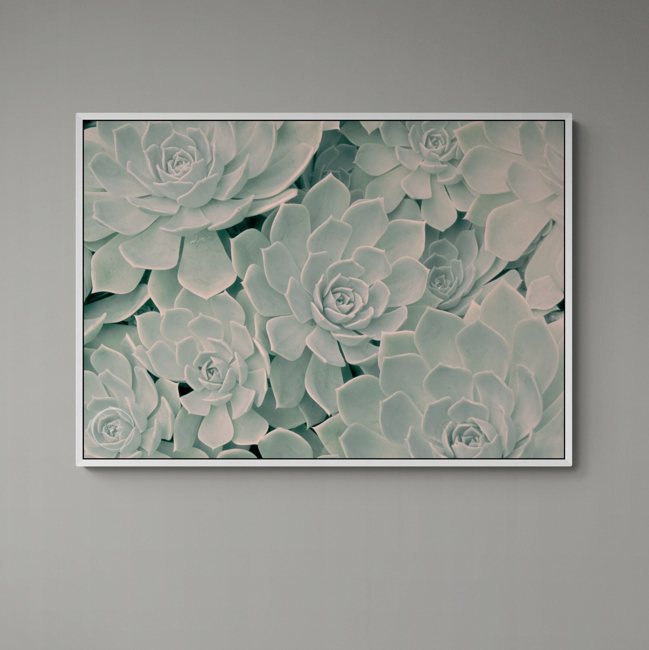 Calm Succulents | Canvas Print
