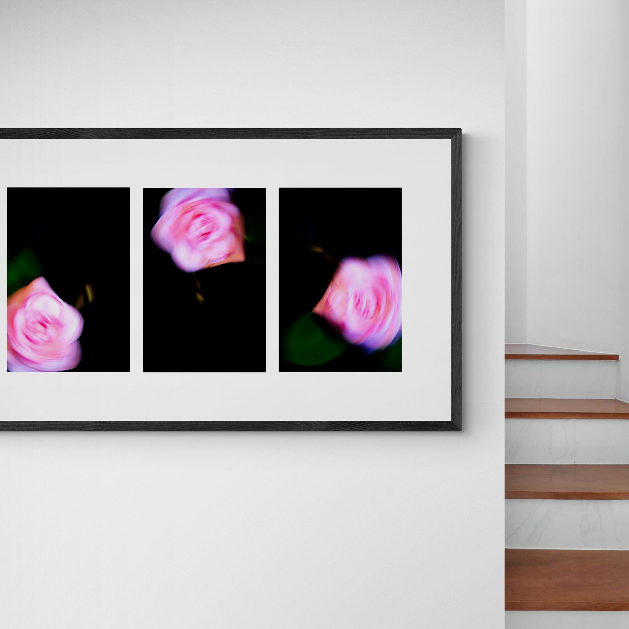 Camellia Swirl Triptych | Limited Edition Print