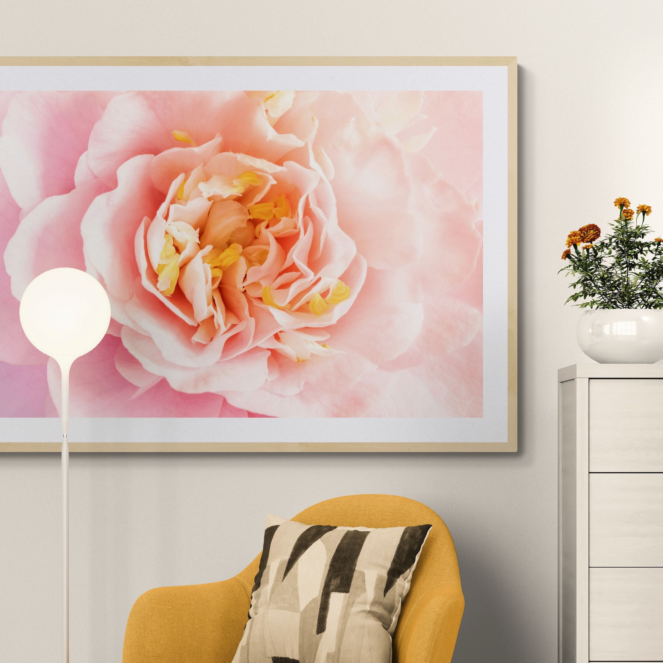 Camellia Blush | Open Edition Print