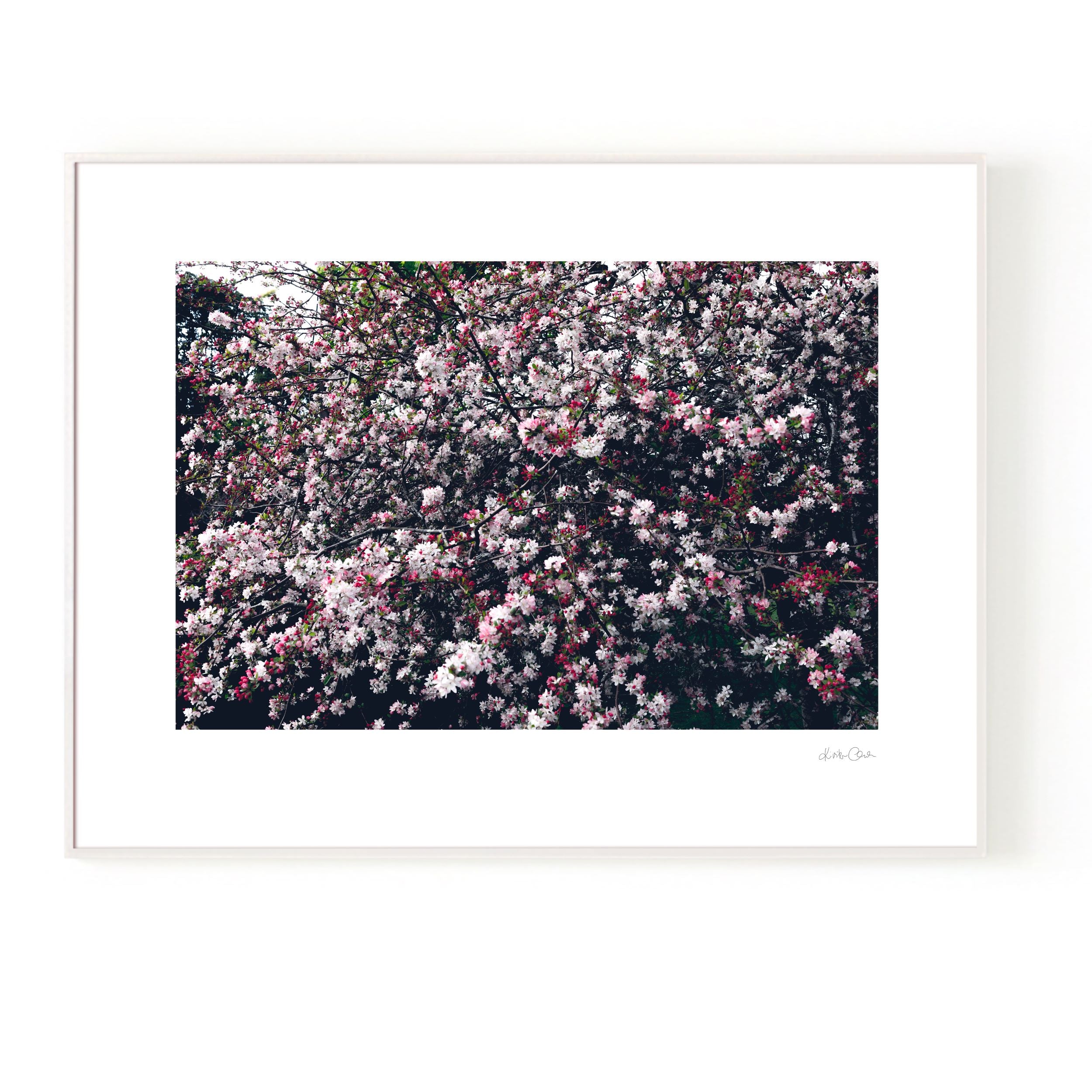 Churchyard Blossom Tree Poster