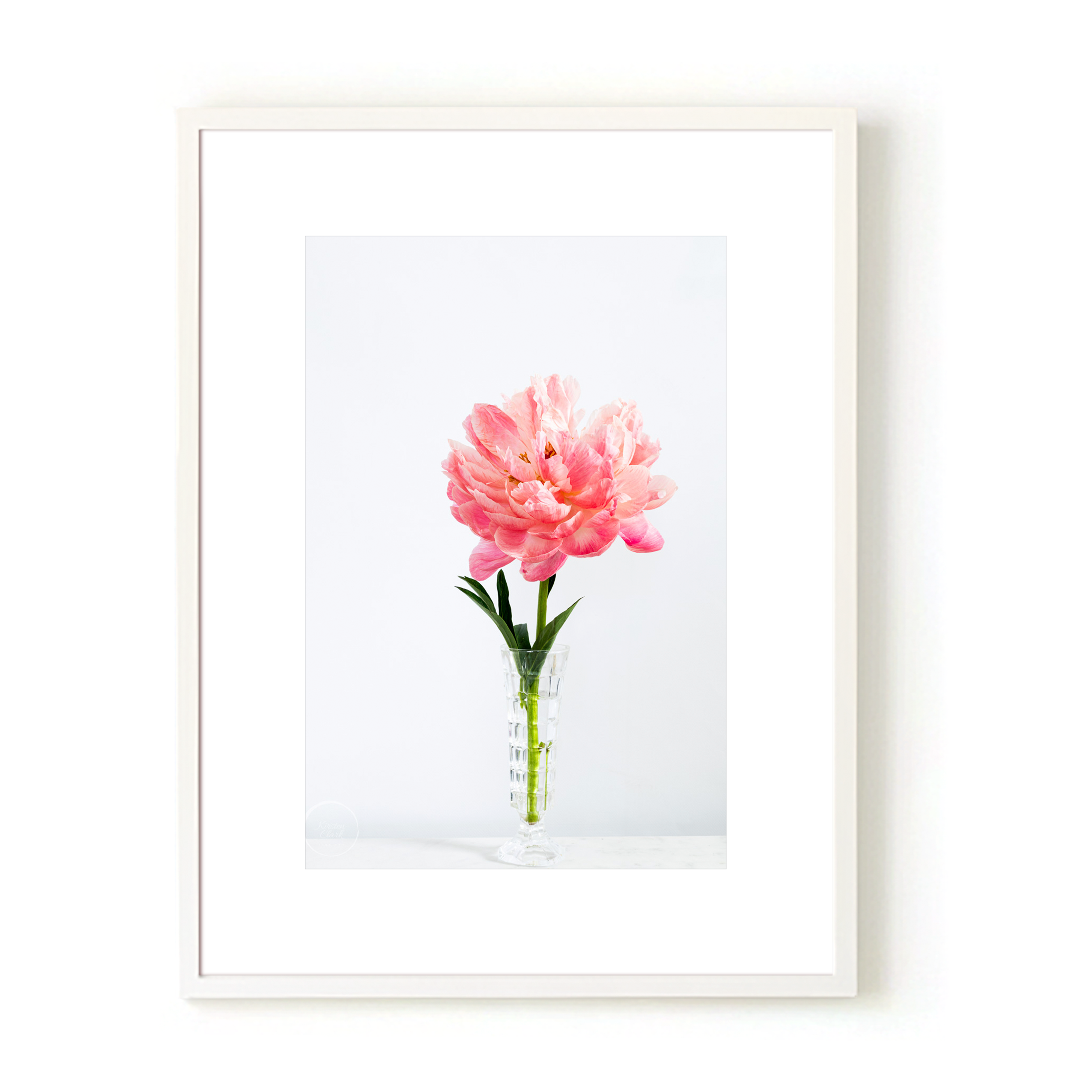 Coral Charm peony in a crystal vase poster print white frame