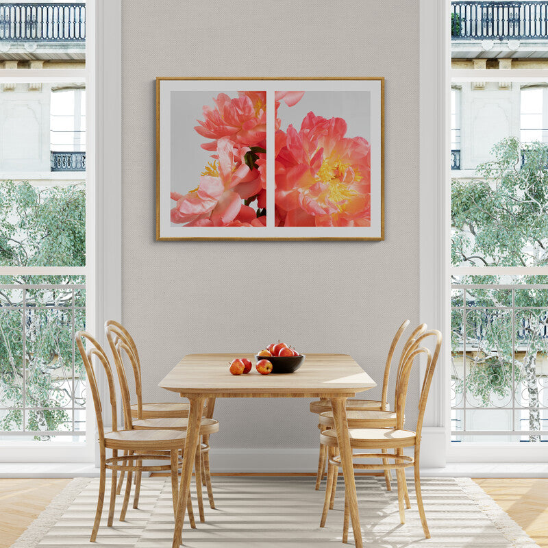 Coral Sunset Peony Diptych framed in gold above feature wall.