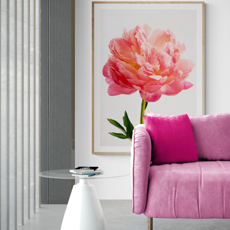 Coral Charm Peony Wall Art - Kirsten Clark Art