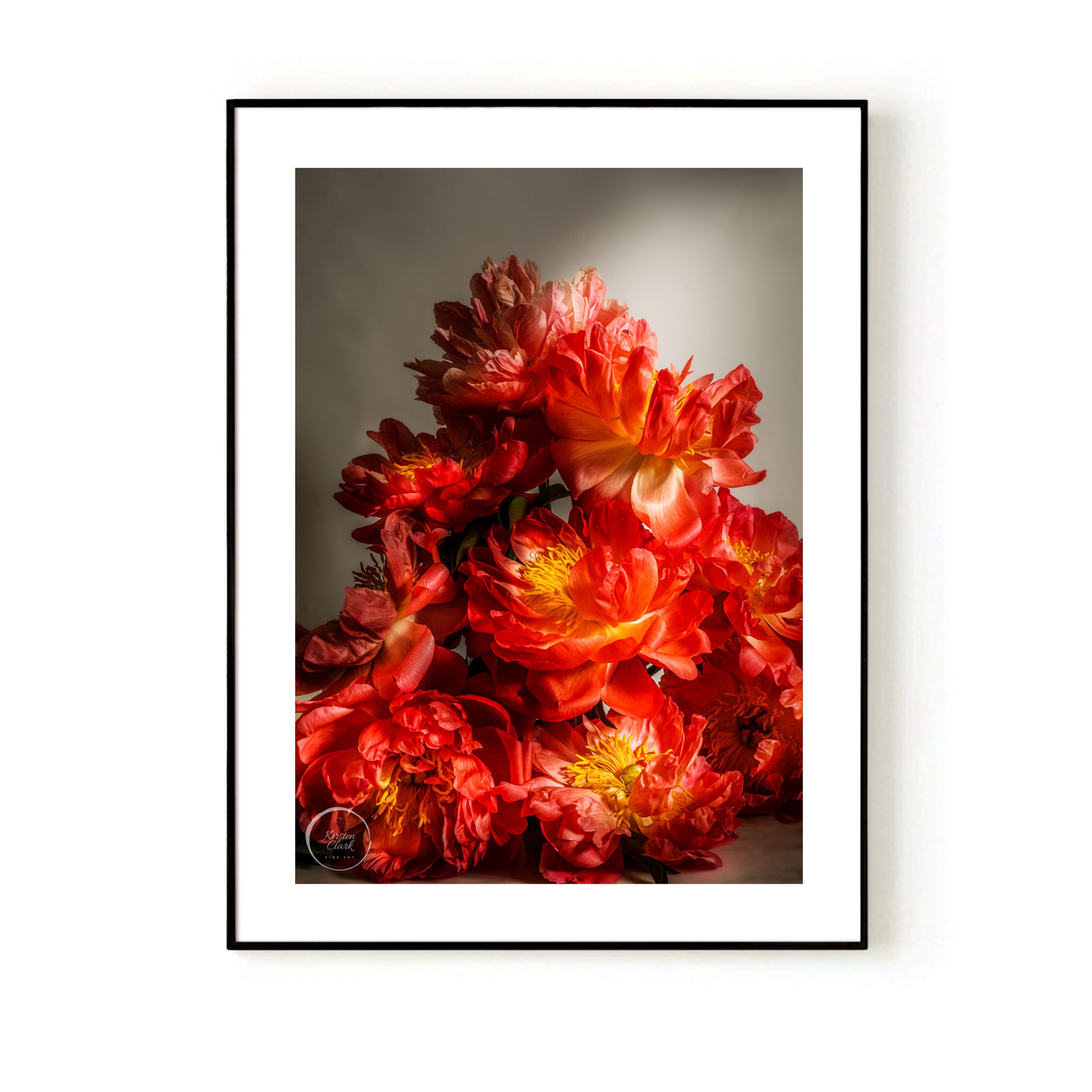 Coral Sunset Peonies - Limited Edition