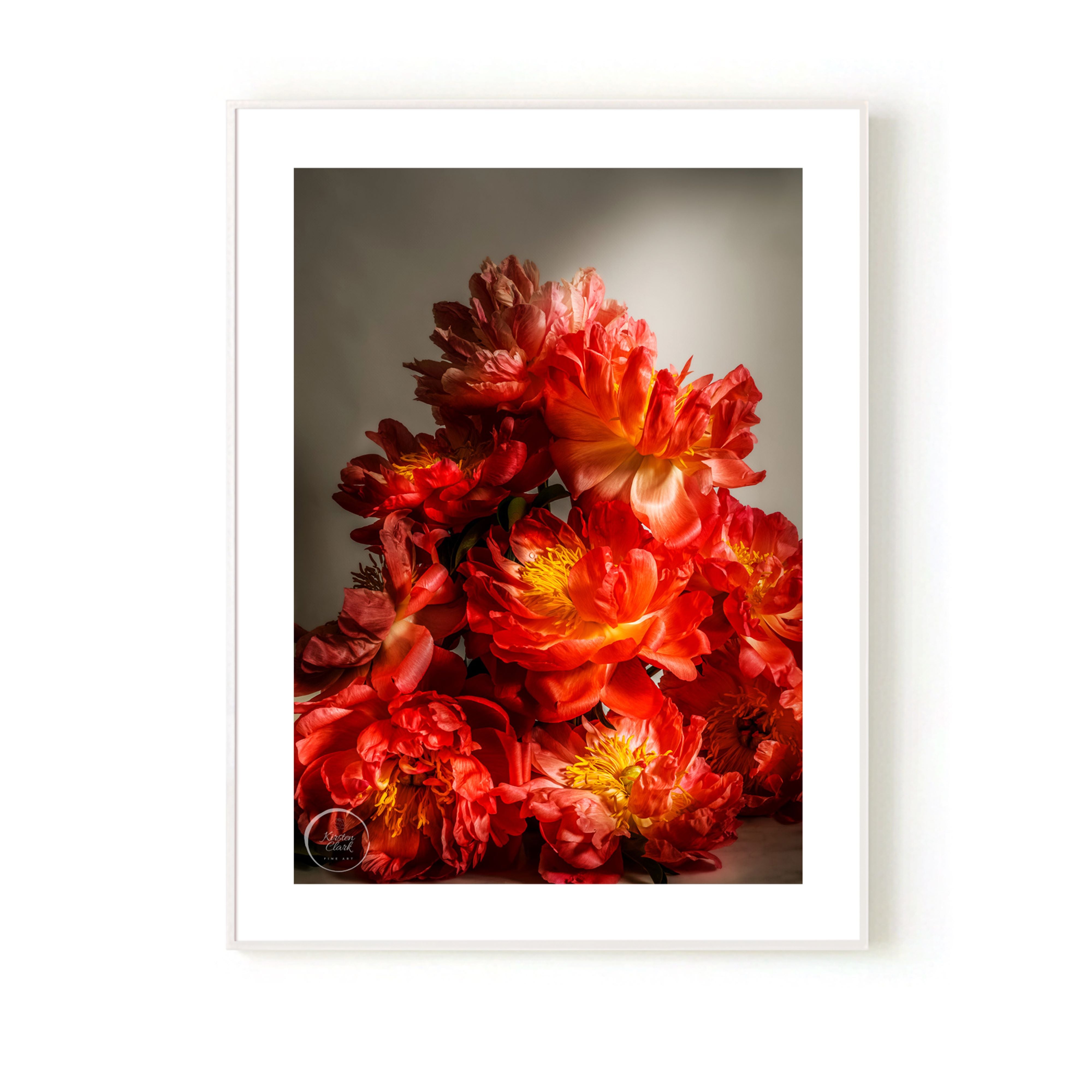Coral Sunset Peonies - Limited Edition