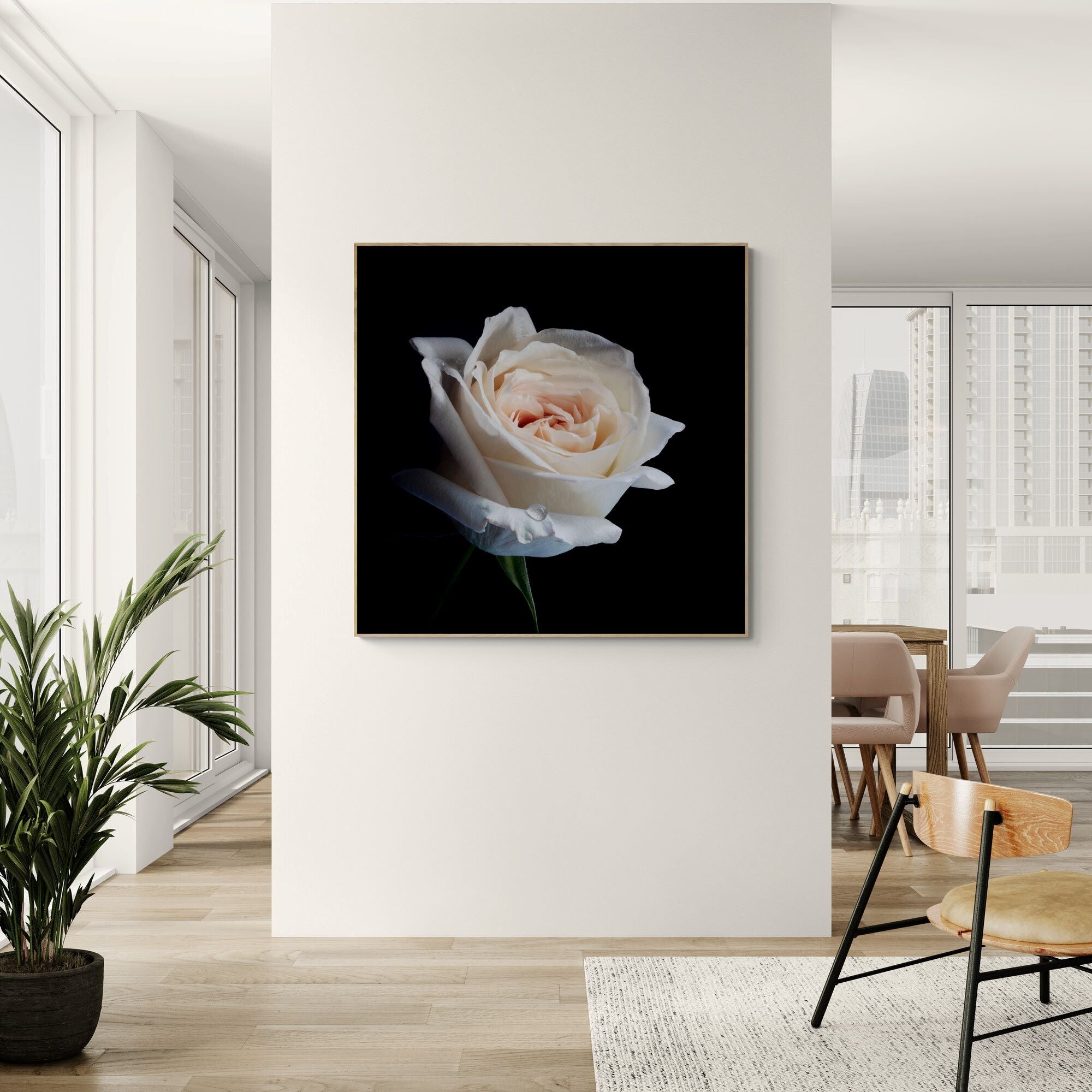 David austin rose canvas print on apartment wall by Kirsten Clark Art