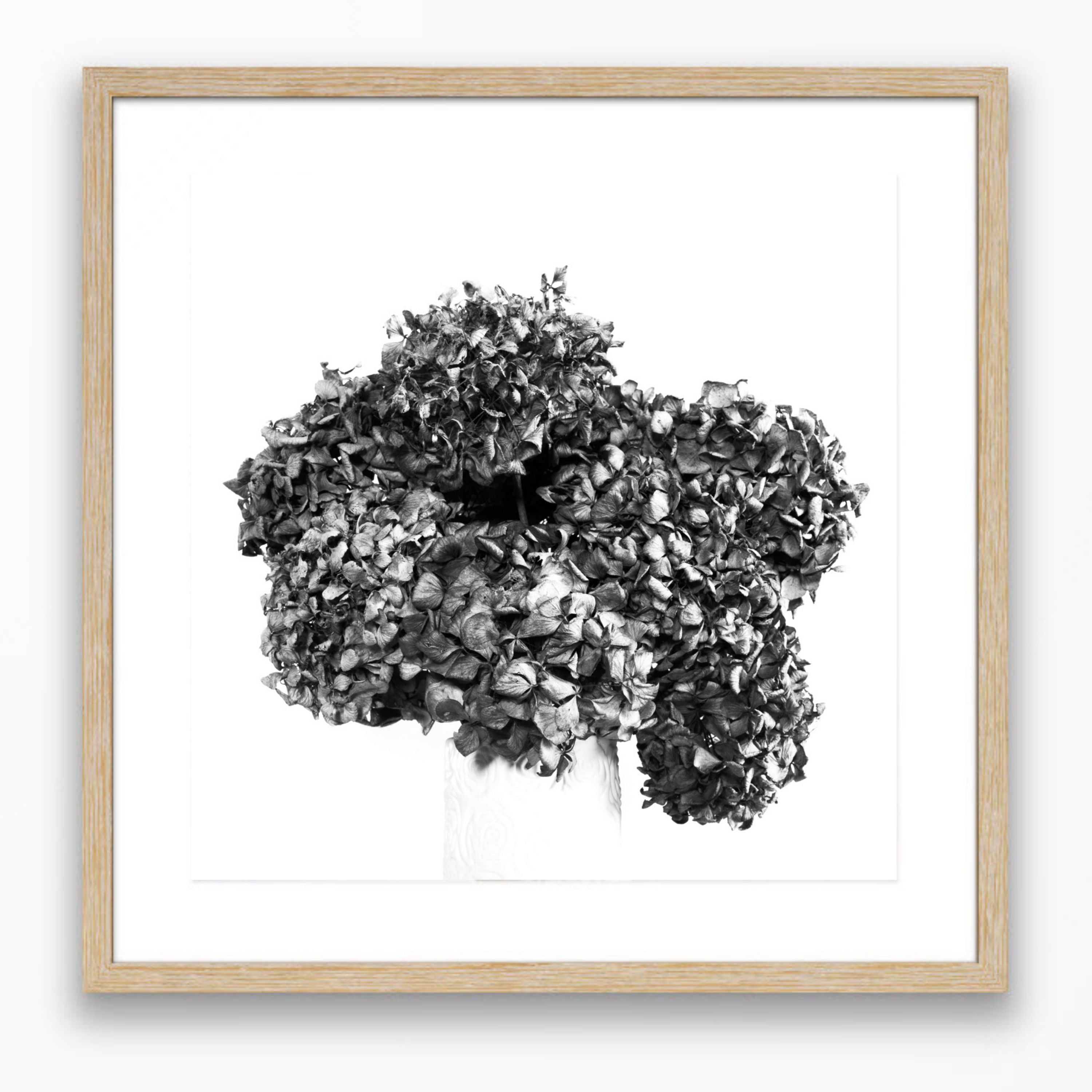 Lasting Blooms Dried Hydrangeas #2 - Limited Edition Print