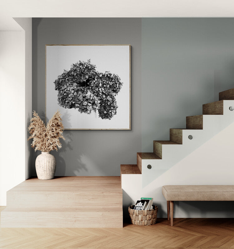 Lasting Blooms Dried Hydrangeas #2 - Limited Edition Print