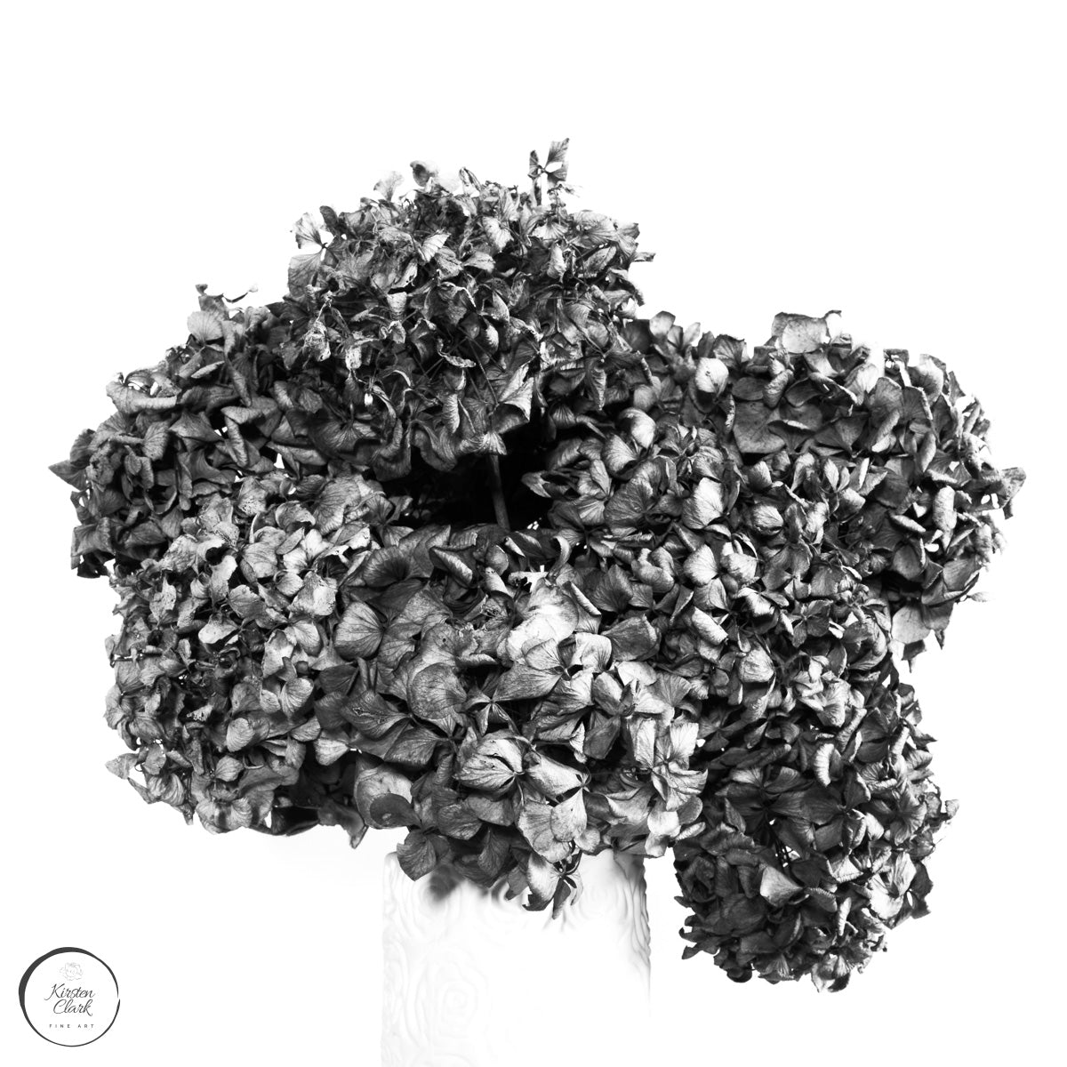Lasting Blooms Dried Hydrangeas #2 - Limited Edition Print
