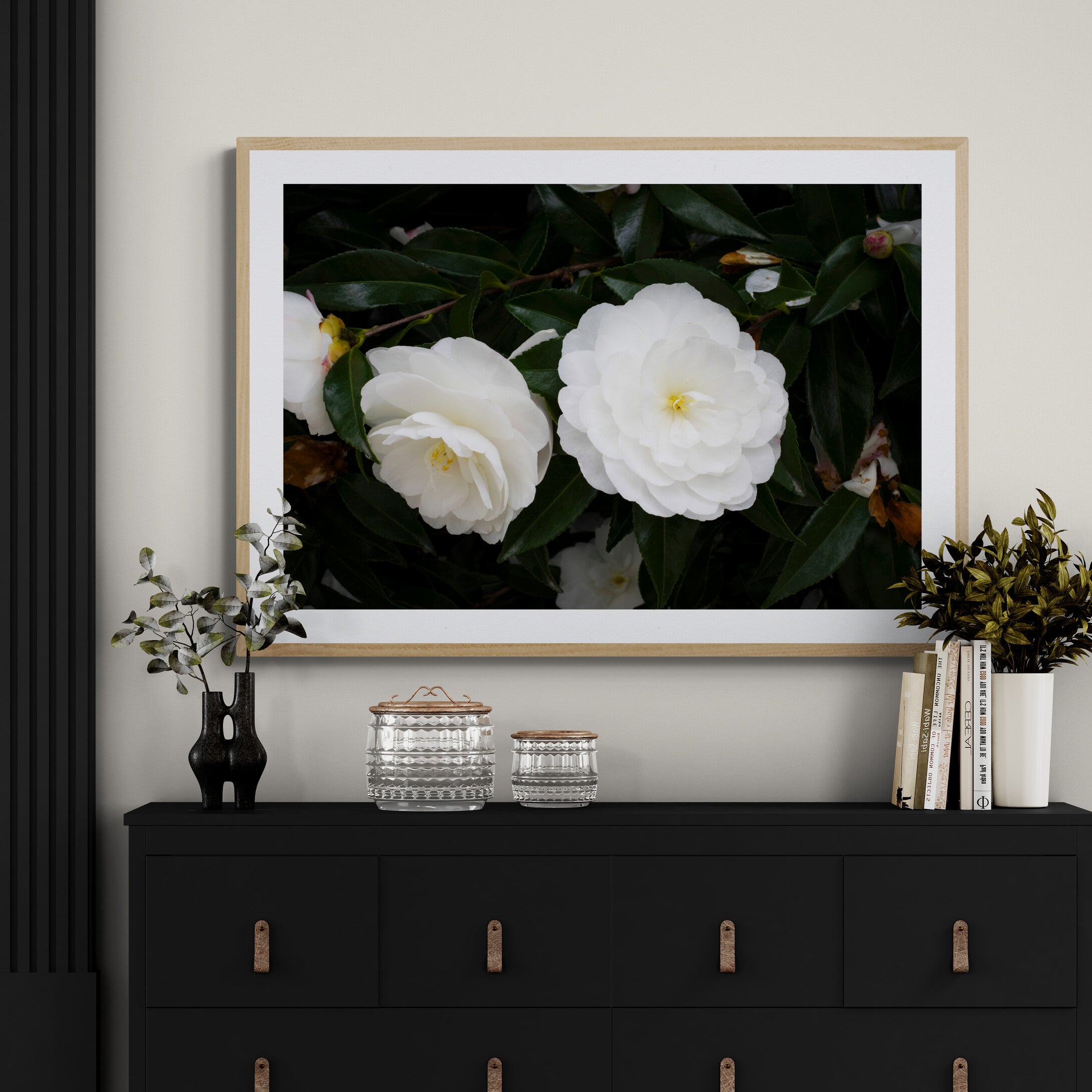 Early Pearly White Camellias | Open Edition Print