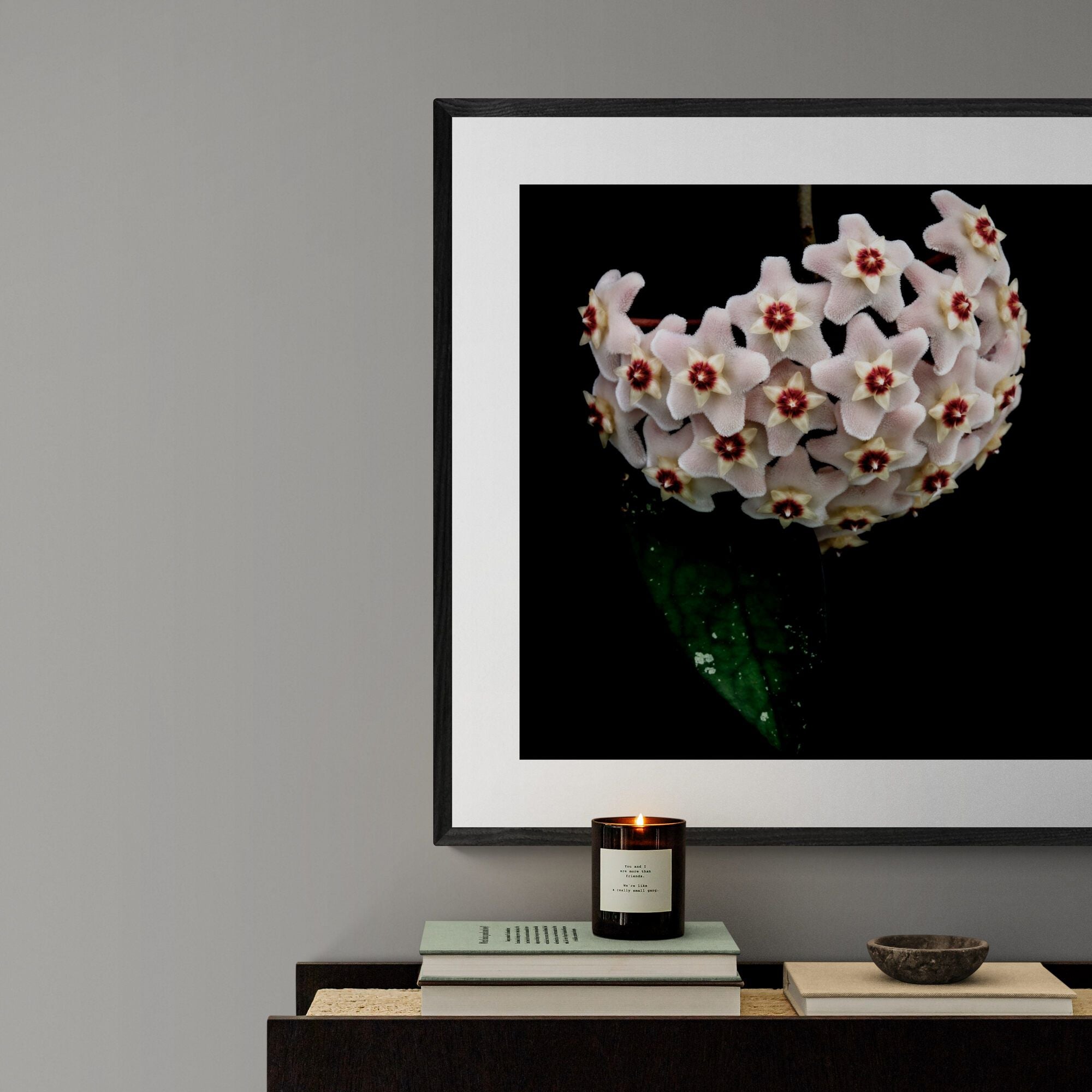 Hoya botanical print above console by Kirsten Clark Art