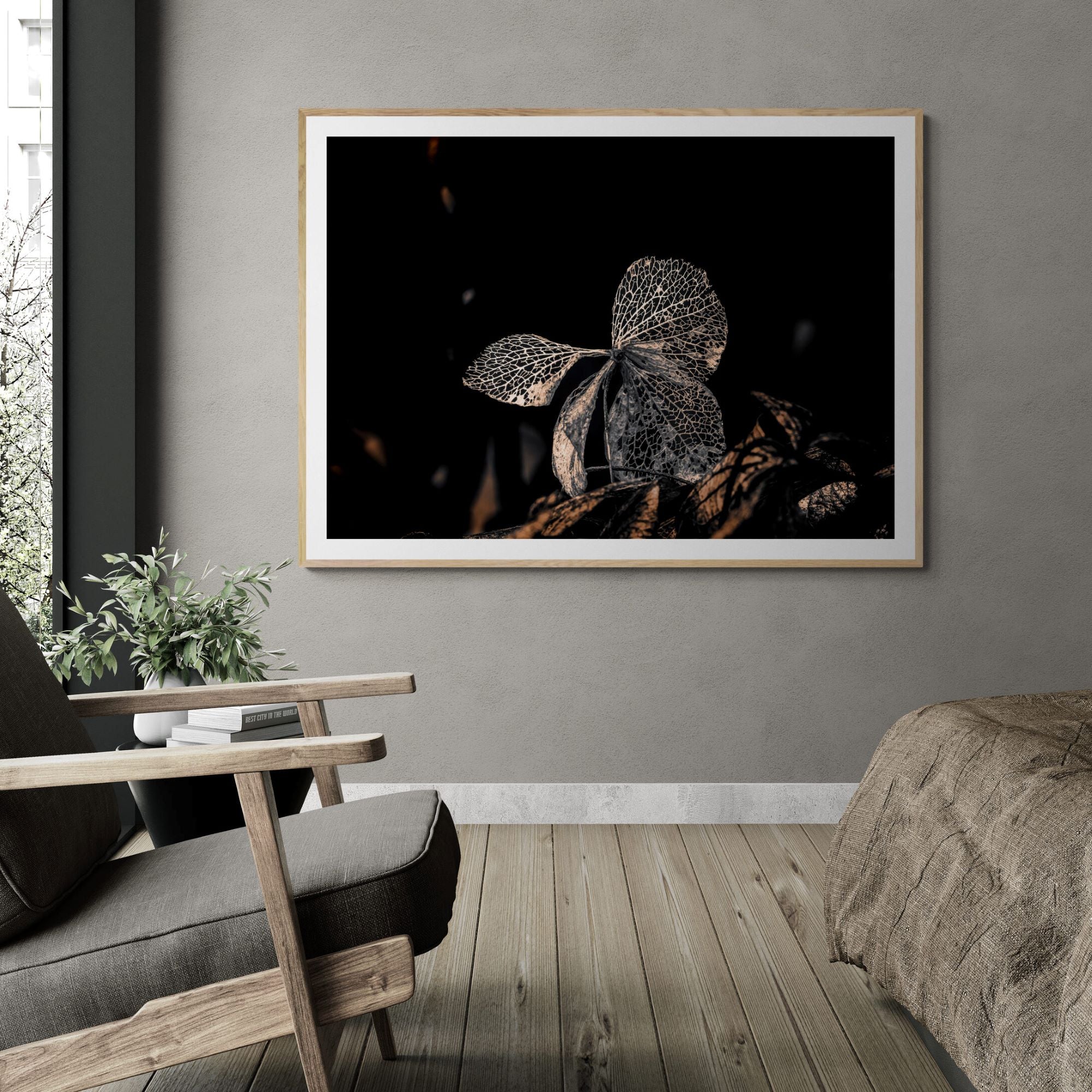Hydrangea Butterfly In Garden | Limited Edtion Print