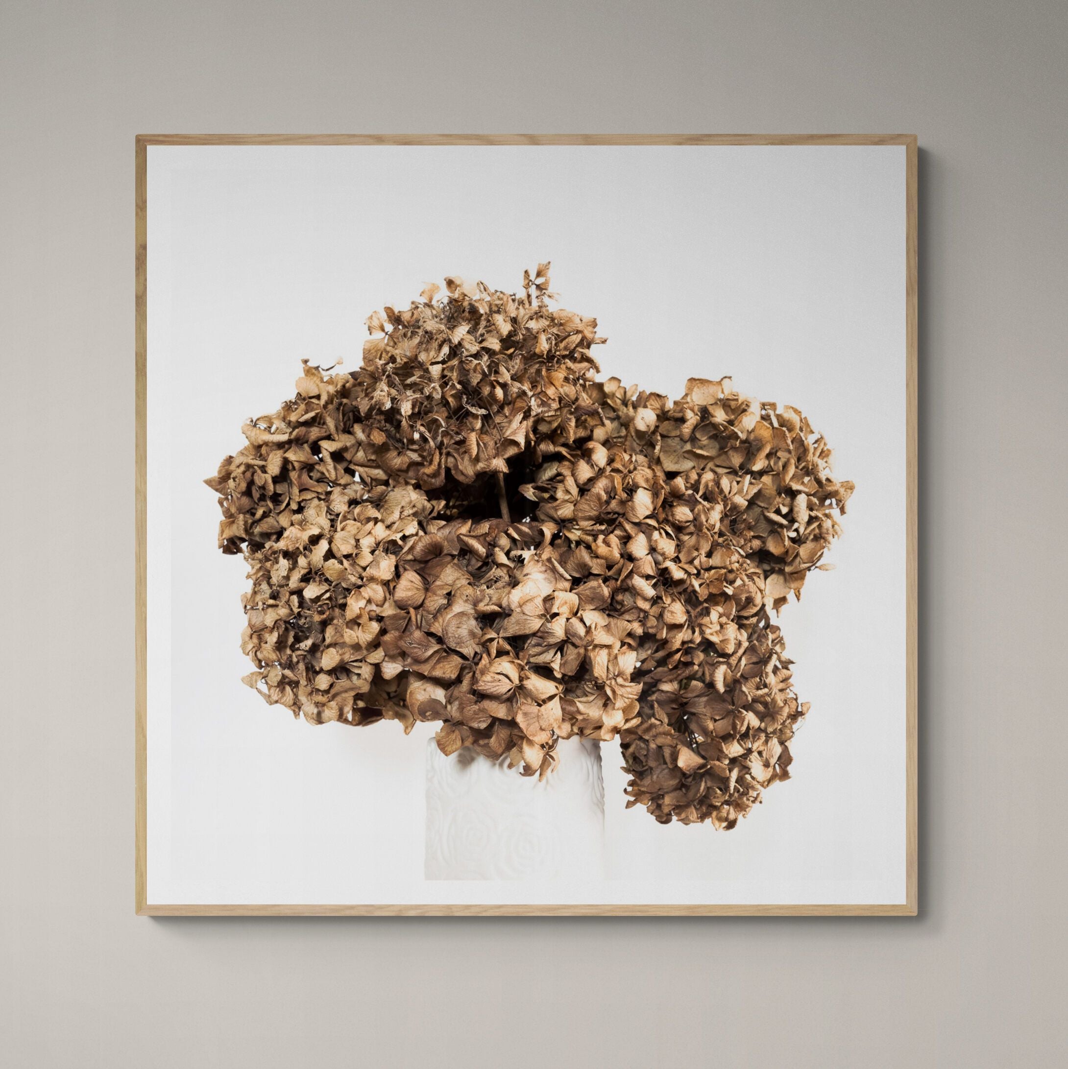 Dried hydrangeas print framed on the wall by Kirsten Clark Art