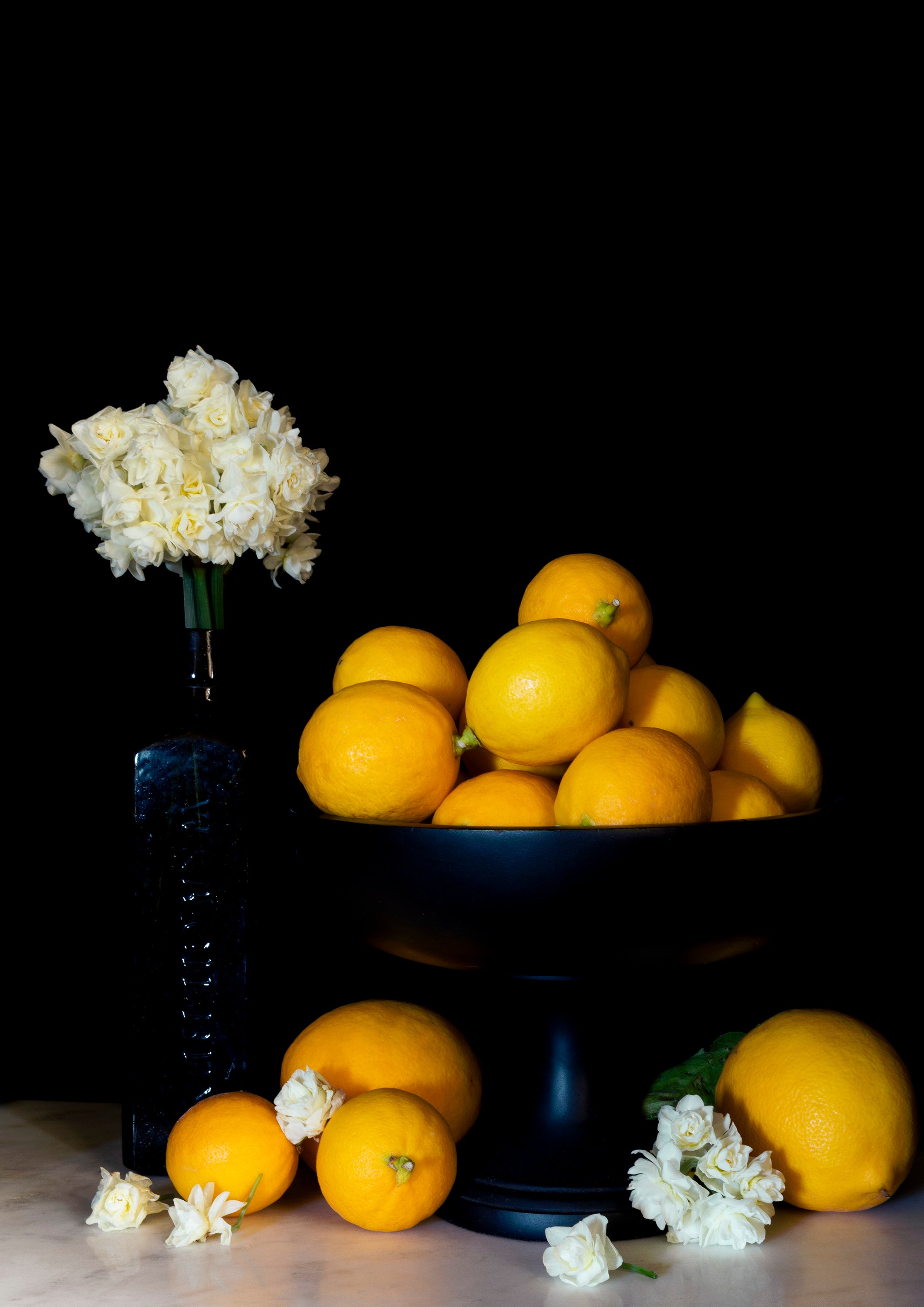 Lemons and Earlicheer | Open Edition Print