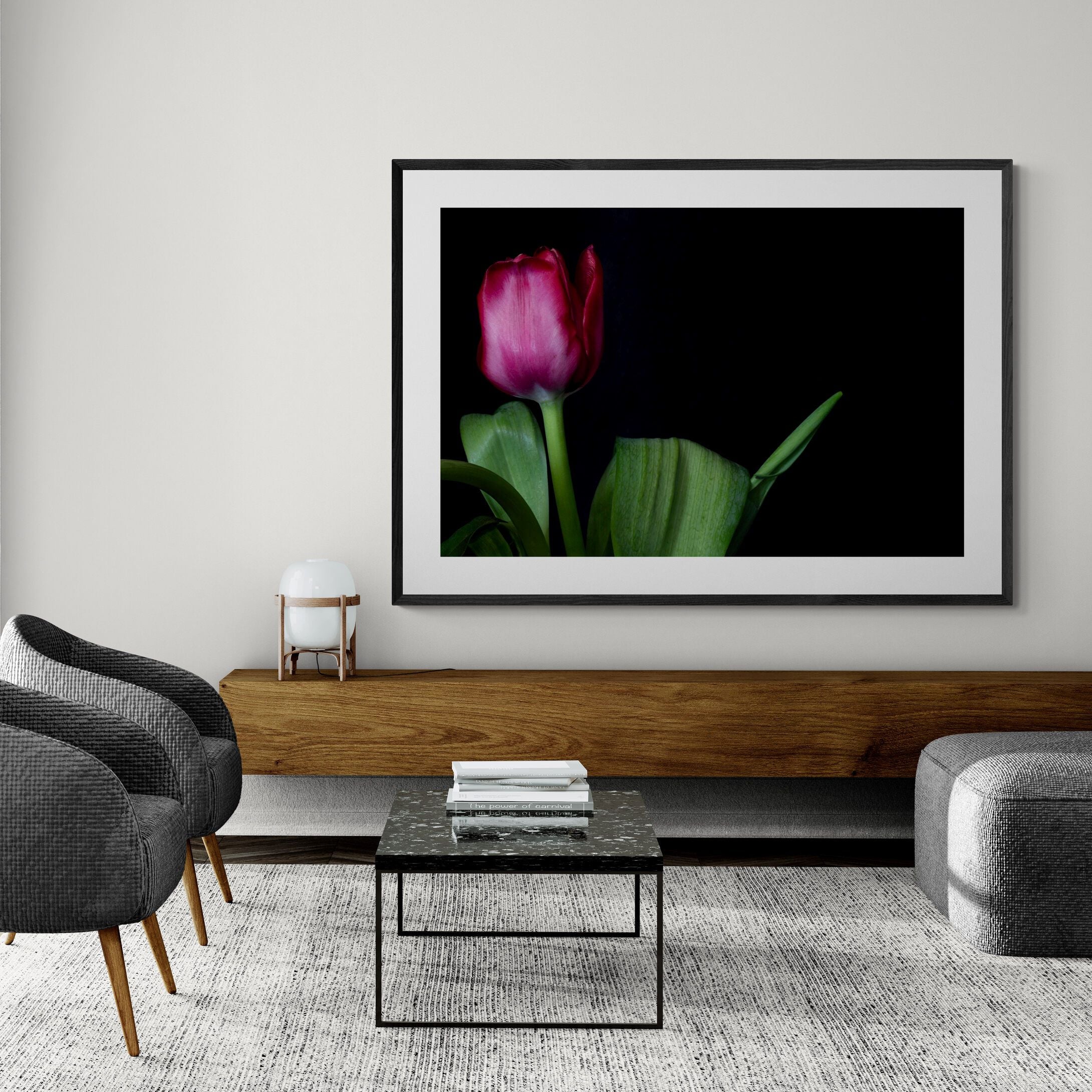 Magenta Tulip Into the Light | Limited Edition Print