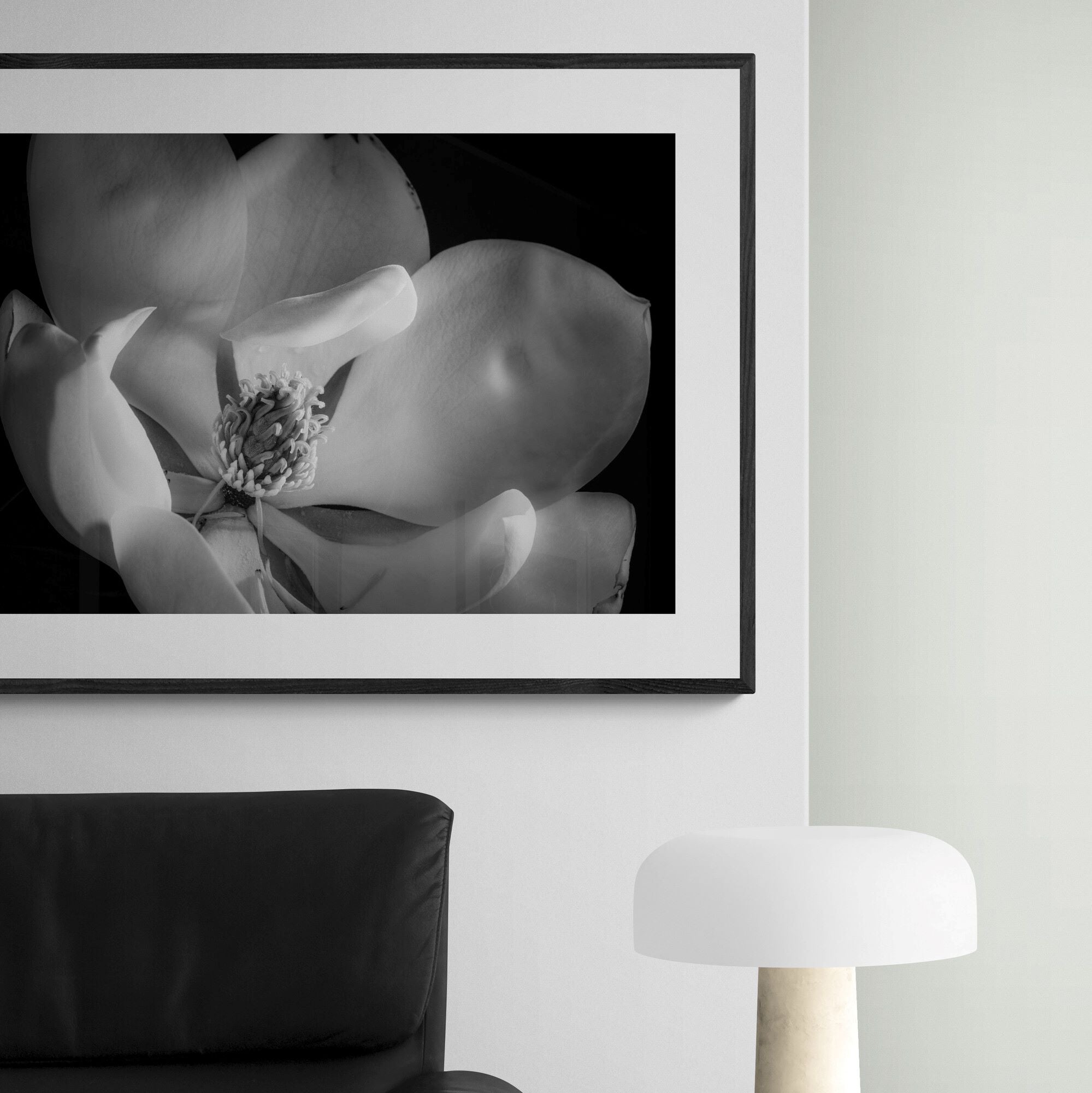 Magnolia IV black and white print framed in apartment wall by Kirsten Clark Art