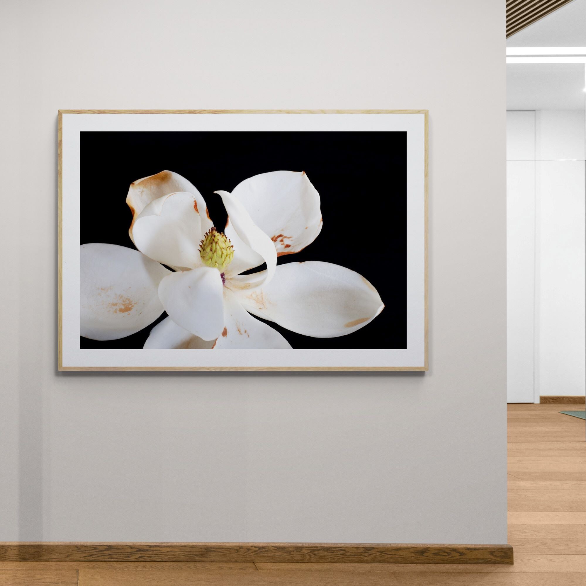 Magnolia I floral fine art print framed in natural wood on modern interior wall by Kirsten Clark Art