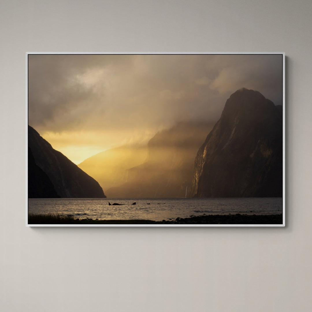 Milford Sound Golden Hour Canvas Print white frame by Kirsten Clark Photography