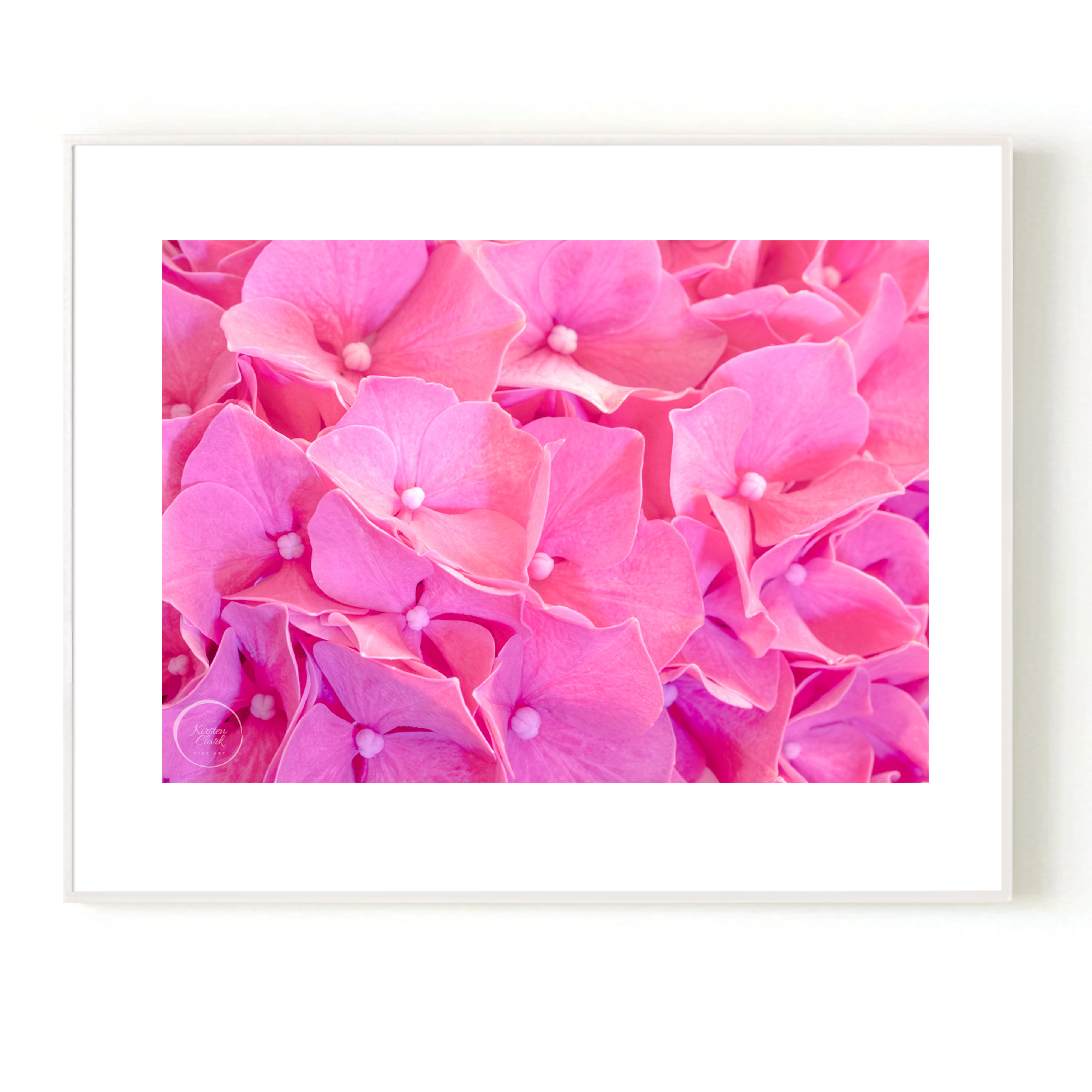 Pink Hydrangea Print in Whire Frame for contemporary interiors