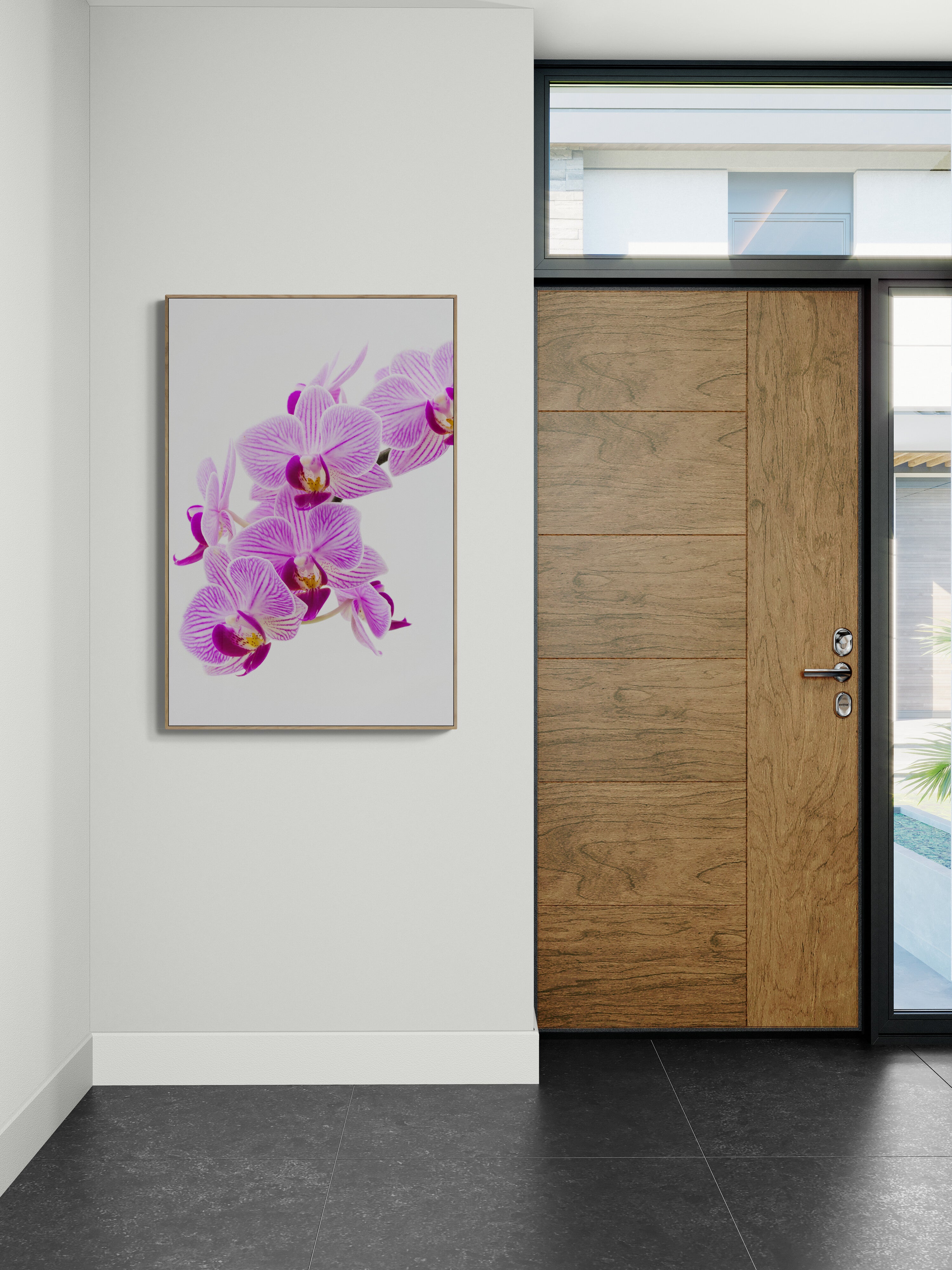 Pink Orchid | Canvas Print