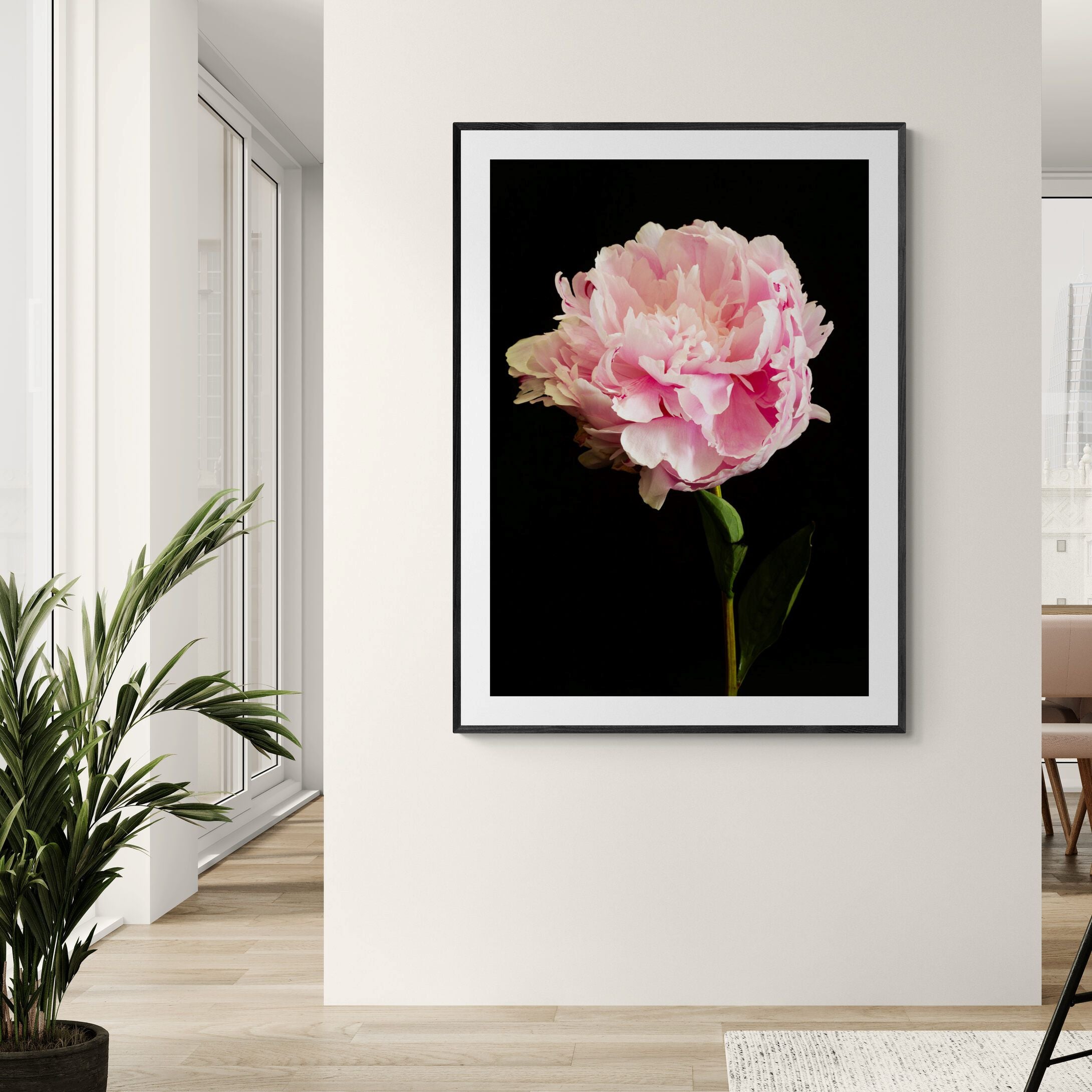 Pink Peony Print in apartment by Kirsten Clark Art