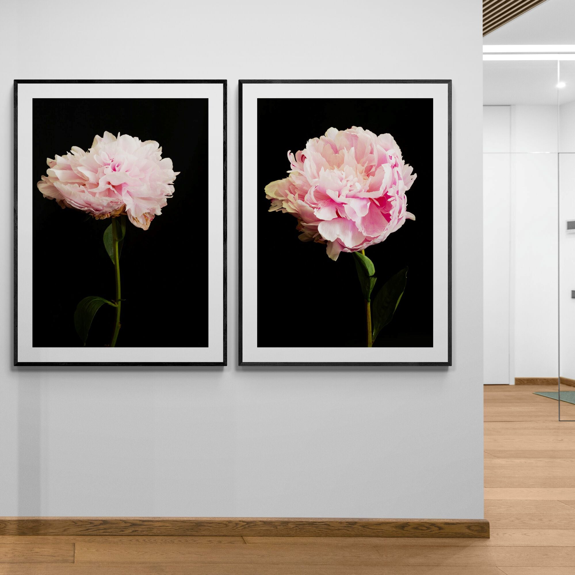Pink Peony Prints in hallway by Kirsten Clark Art