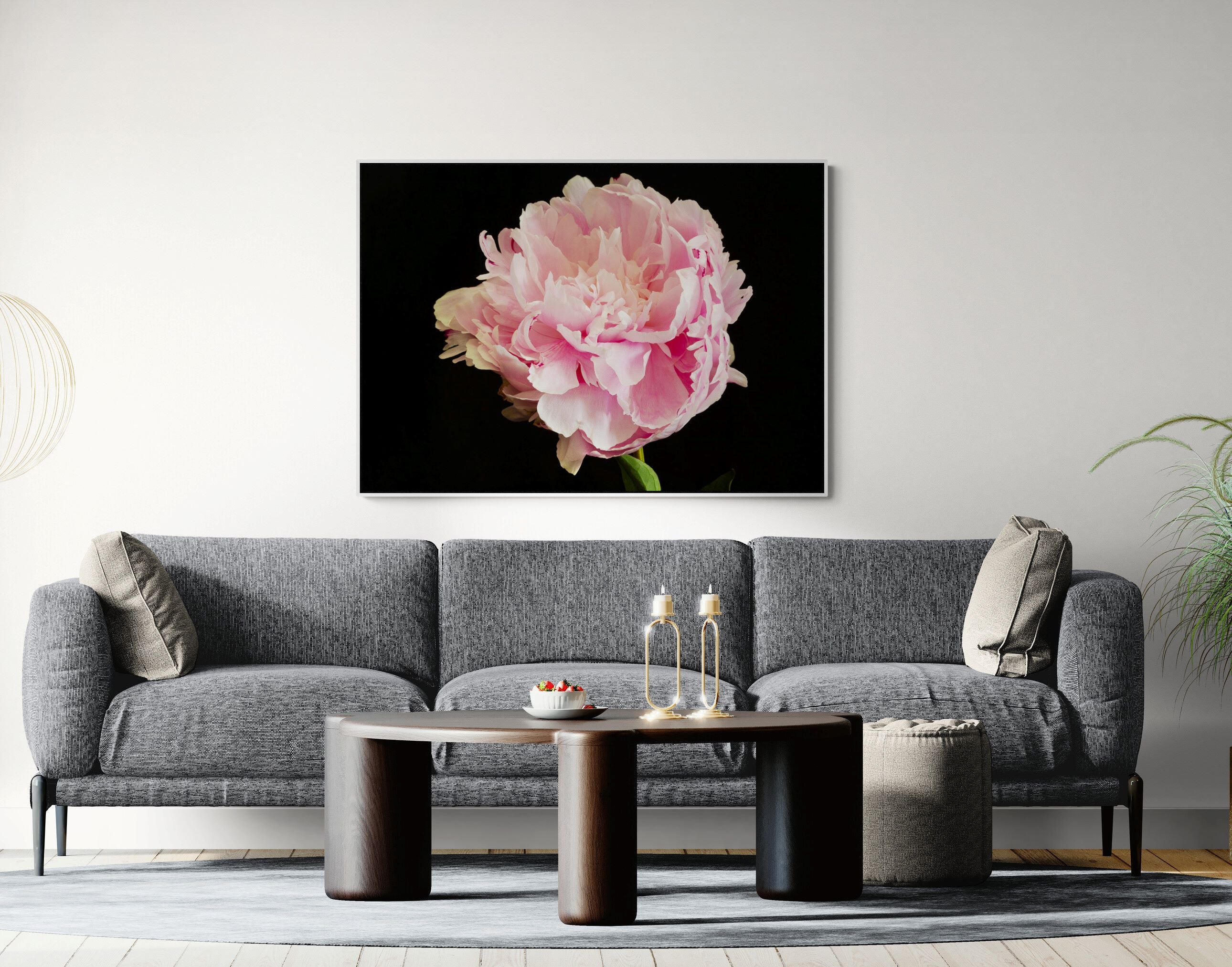 Sarah Bernhardt Peony – Full Bloom Canvas Print