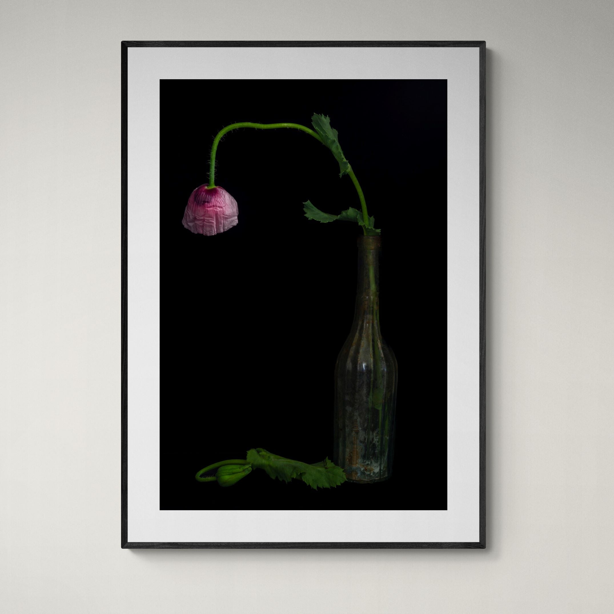 Still Life - Poppy & Antique Bottle | Open Edition Print