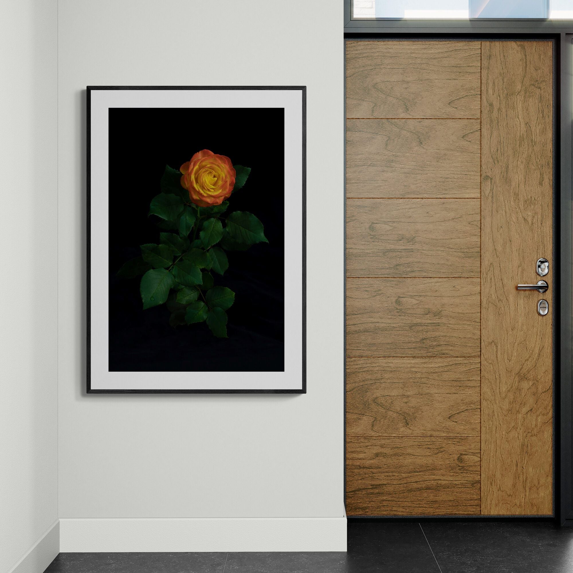 Portrait of a orange rose in foyer by Kirsten Clark Art