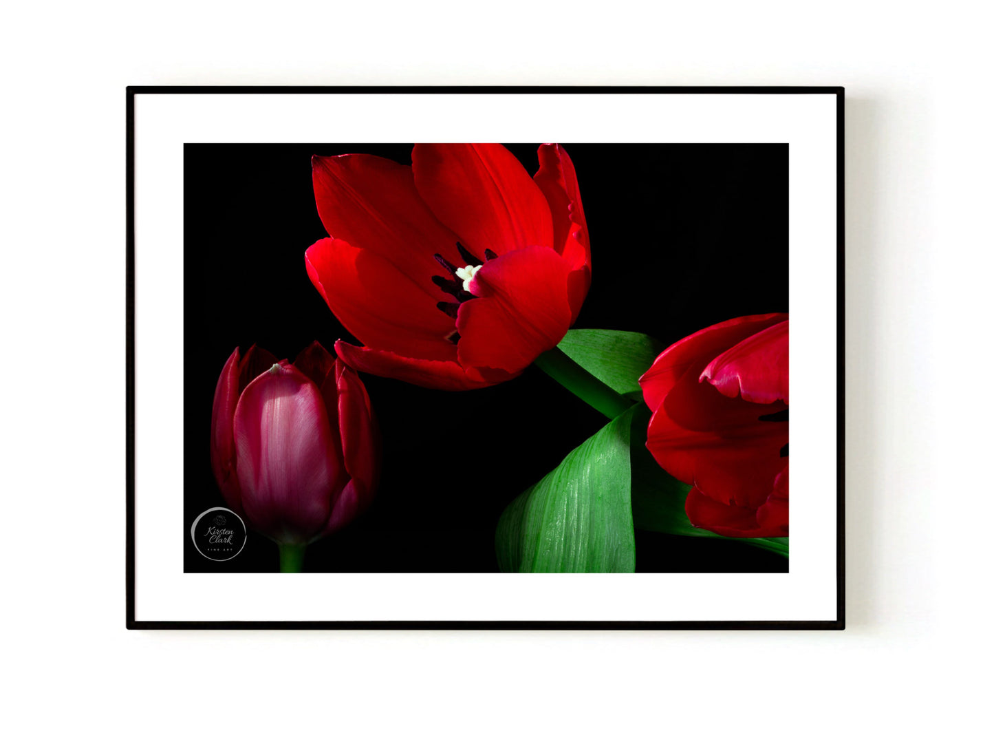 Radiant Red Tulips - Open Edition Print