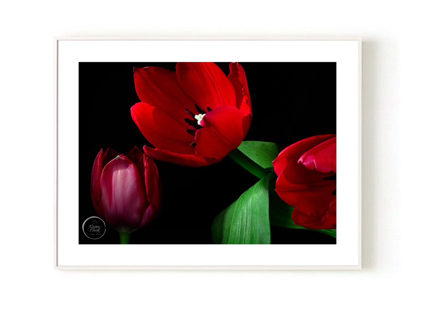 Radiant Red Tulips - Open Edition Print