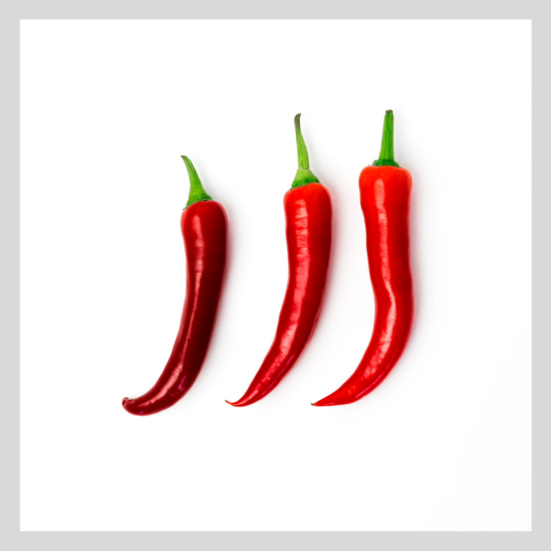 Red Chillies Print OE