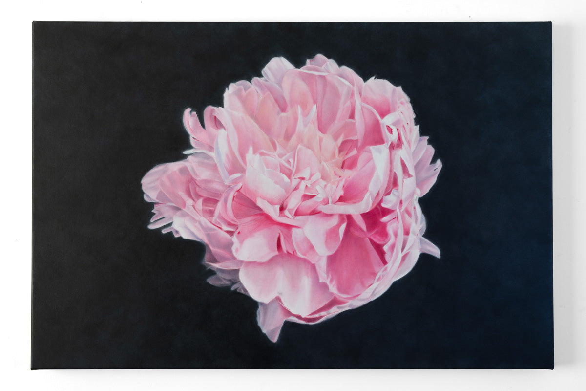 Peonye painting by Kirsten Clark Art