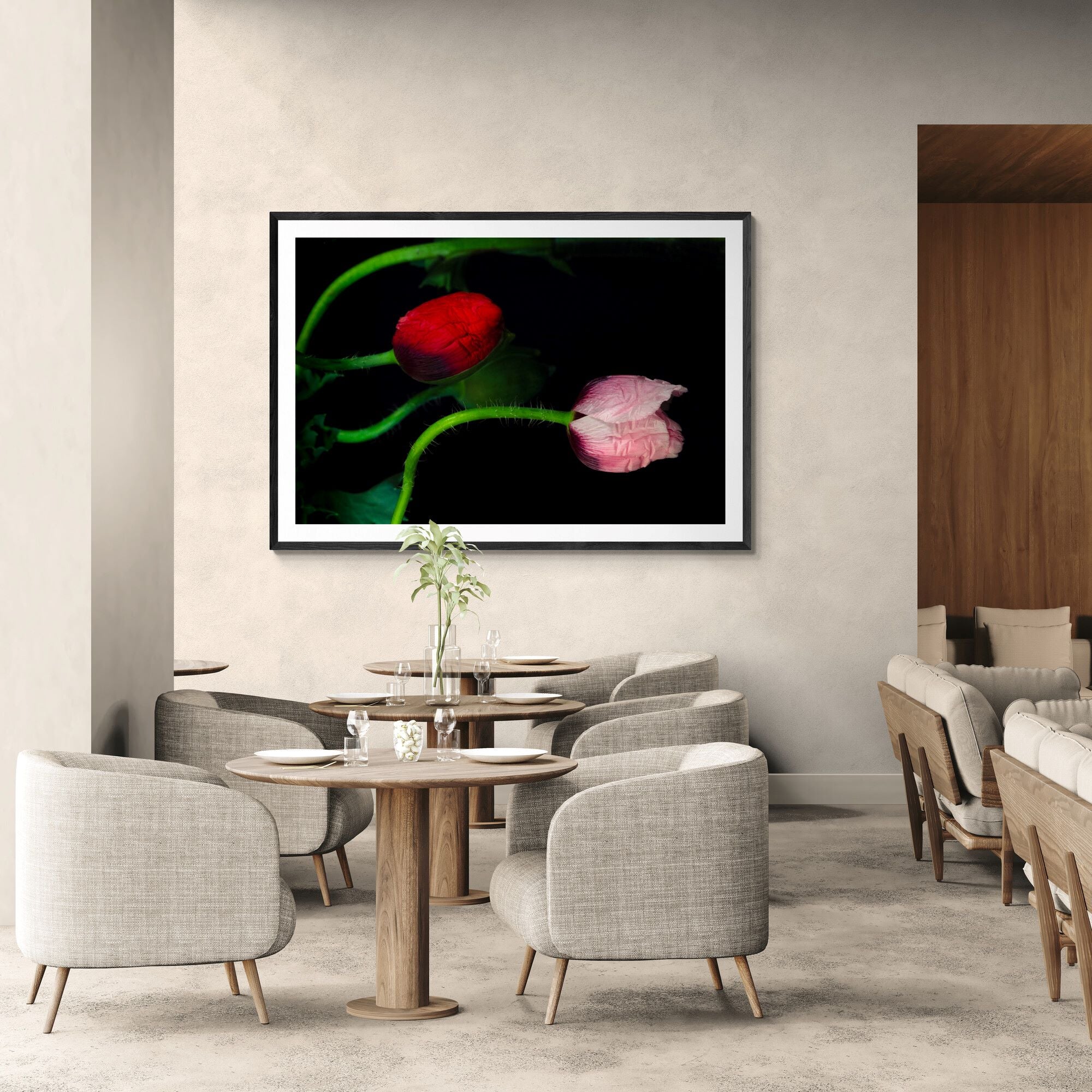 Serpentine Poppies | Open Edition Print