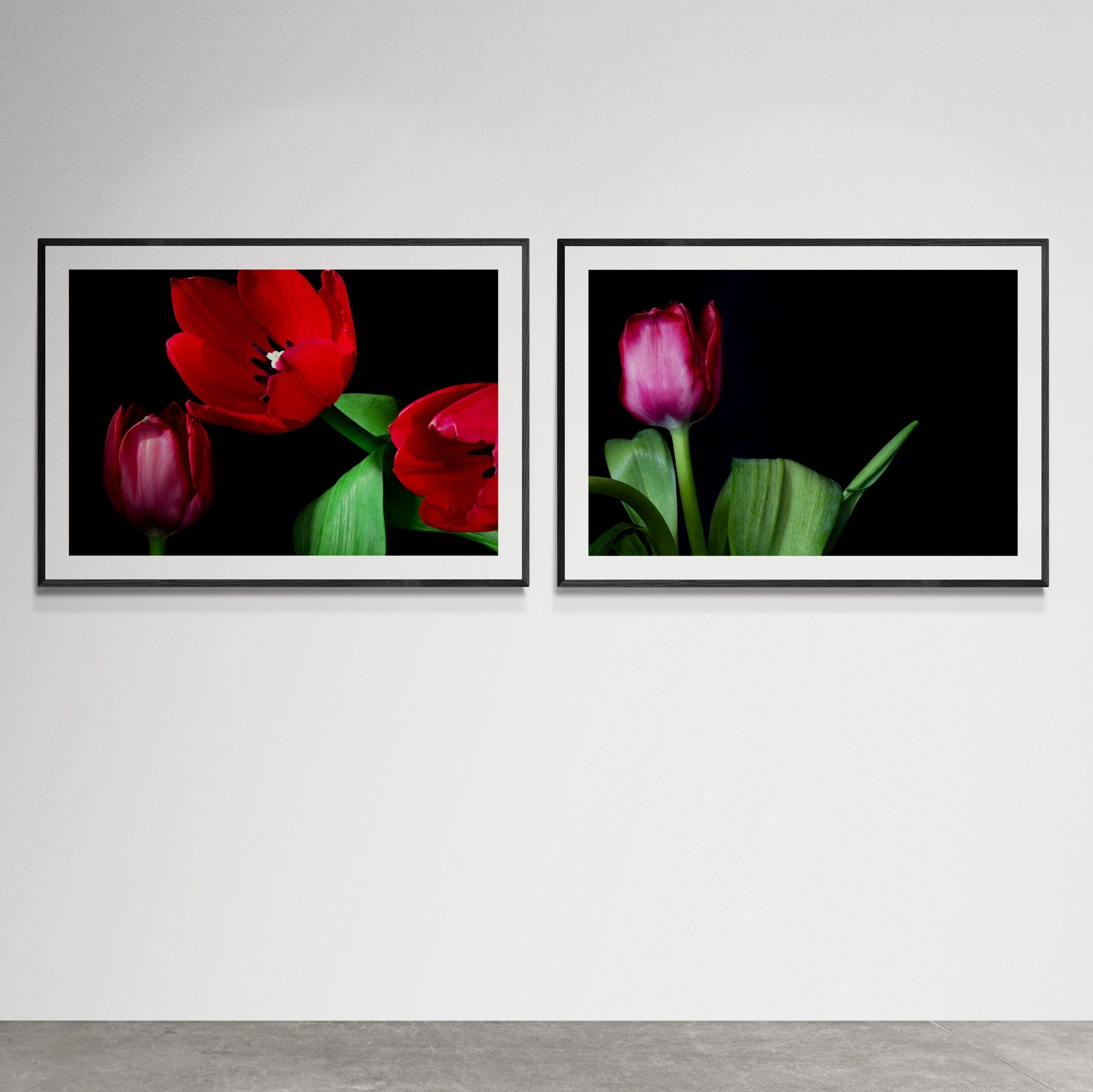 Set of Tulip prints_on_gallery_wall by Kirsten Clark Art