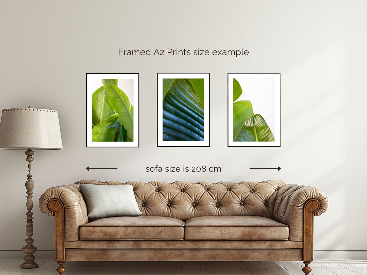 Banana Palms Set of 3 - Open Edition Prints