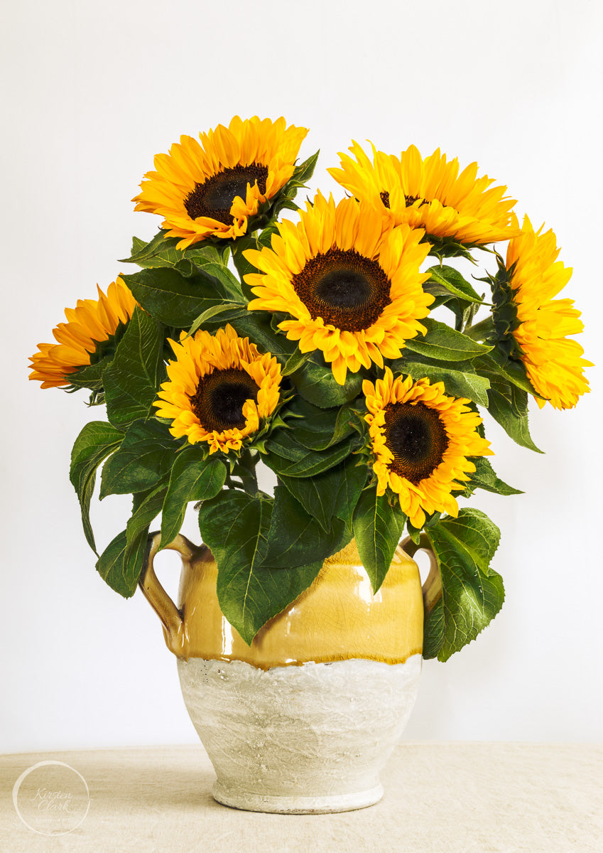 Sunflowers in a Rustic Urn fine art print by Kirsten Clark Art - beautiful wall art.