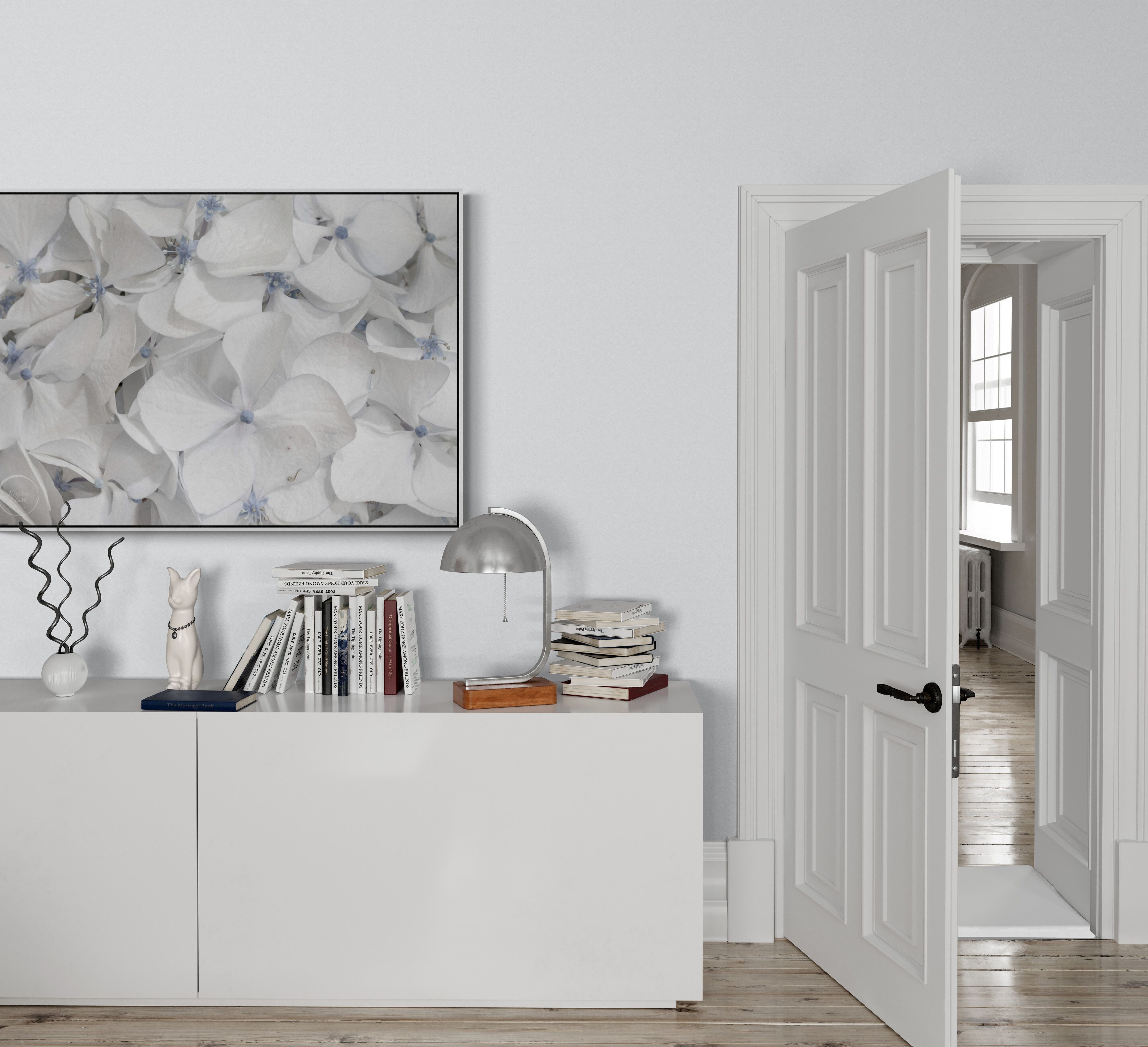 White Hydrangea Canvas Wall Art on wall