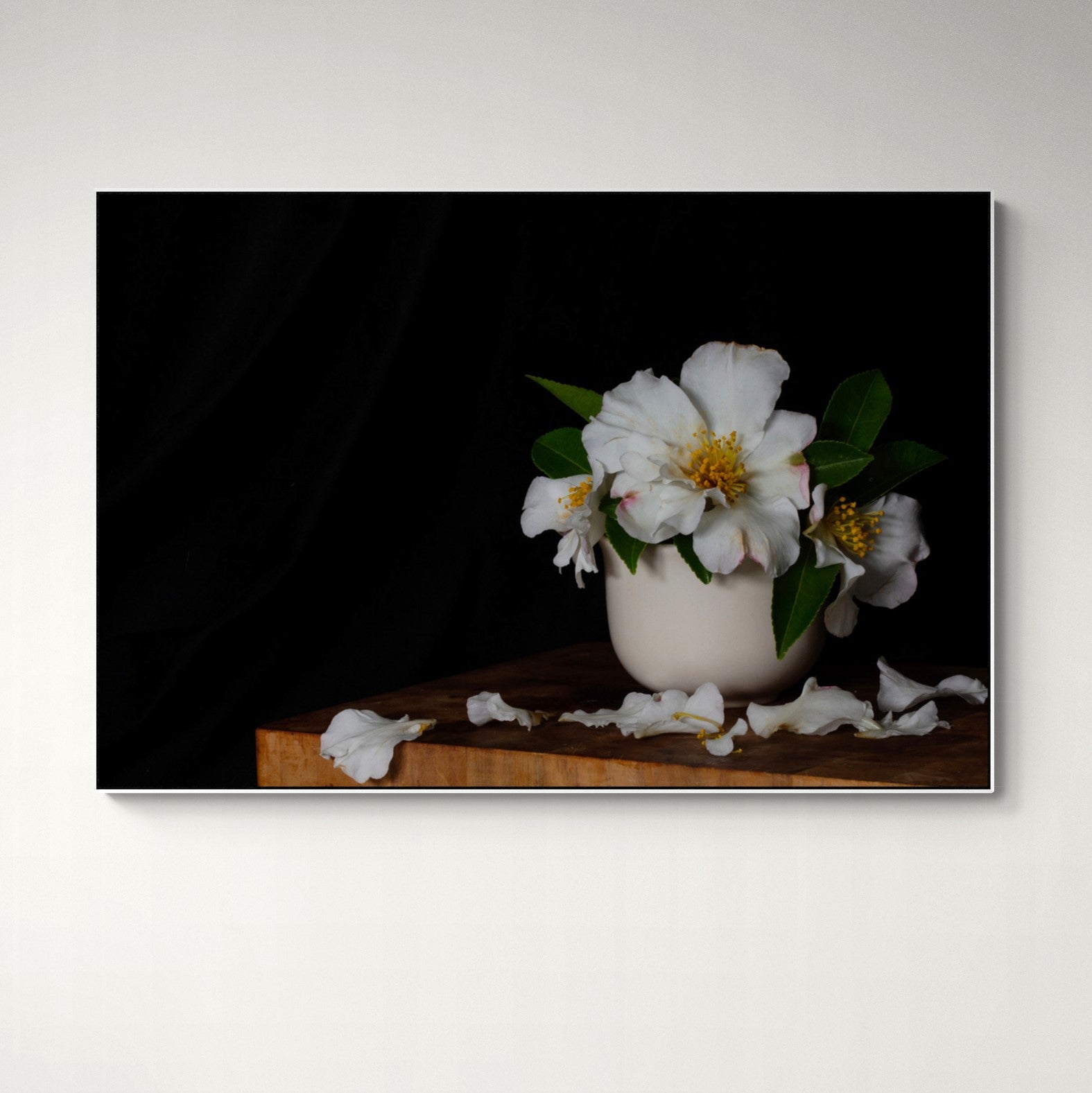 White_camellias_still_life_canvas_print_on_wall Kirsten Clark art