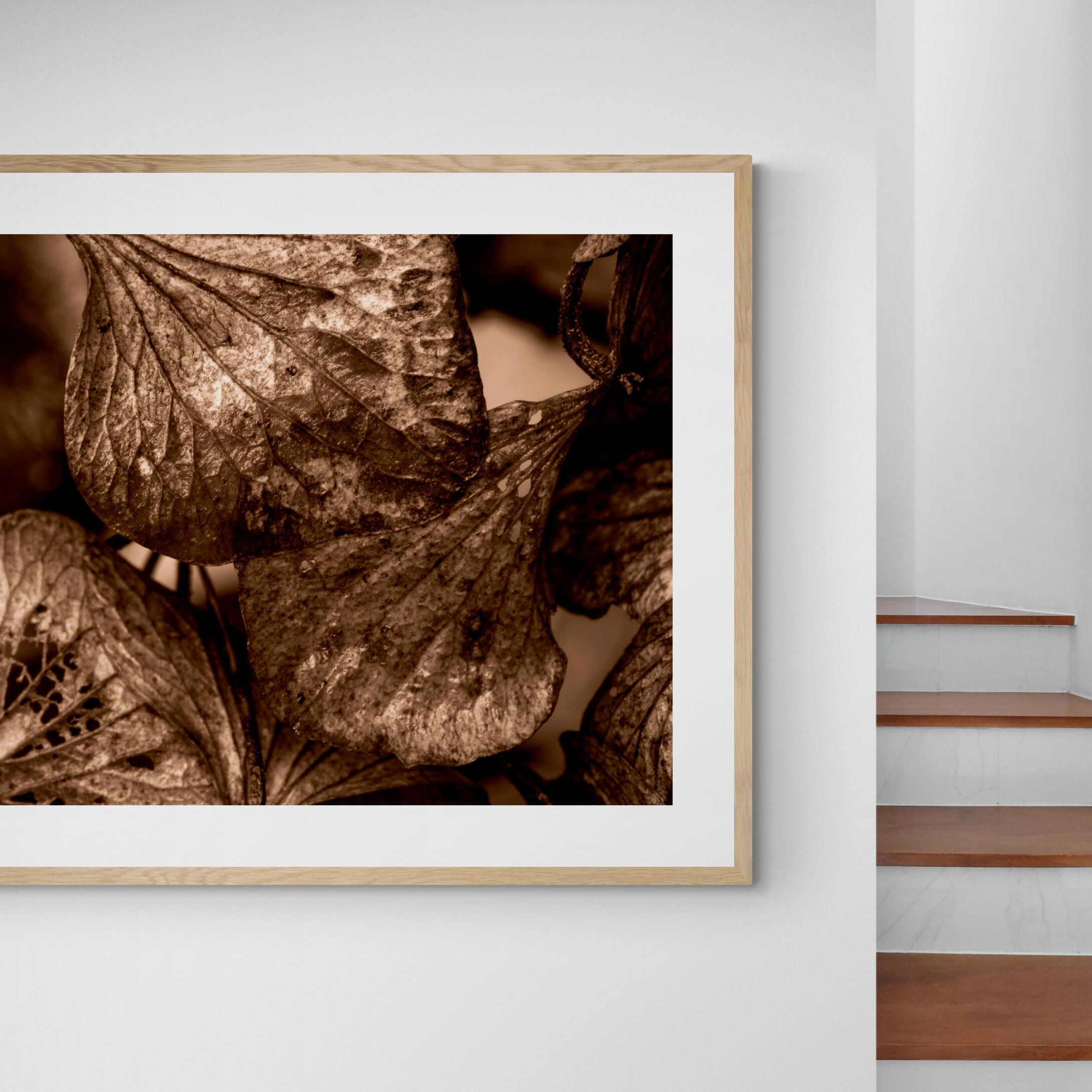 bronze hydrangea on interior-feature-wall in hallway by Kirsten Clark Art