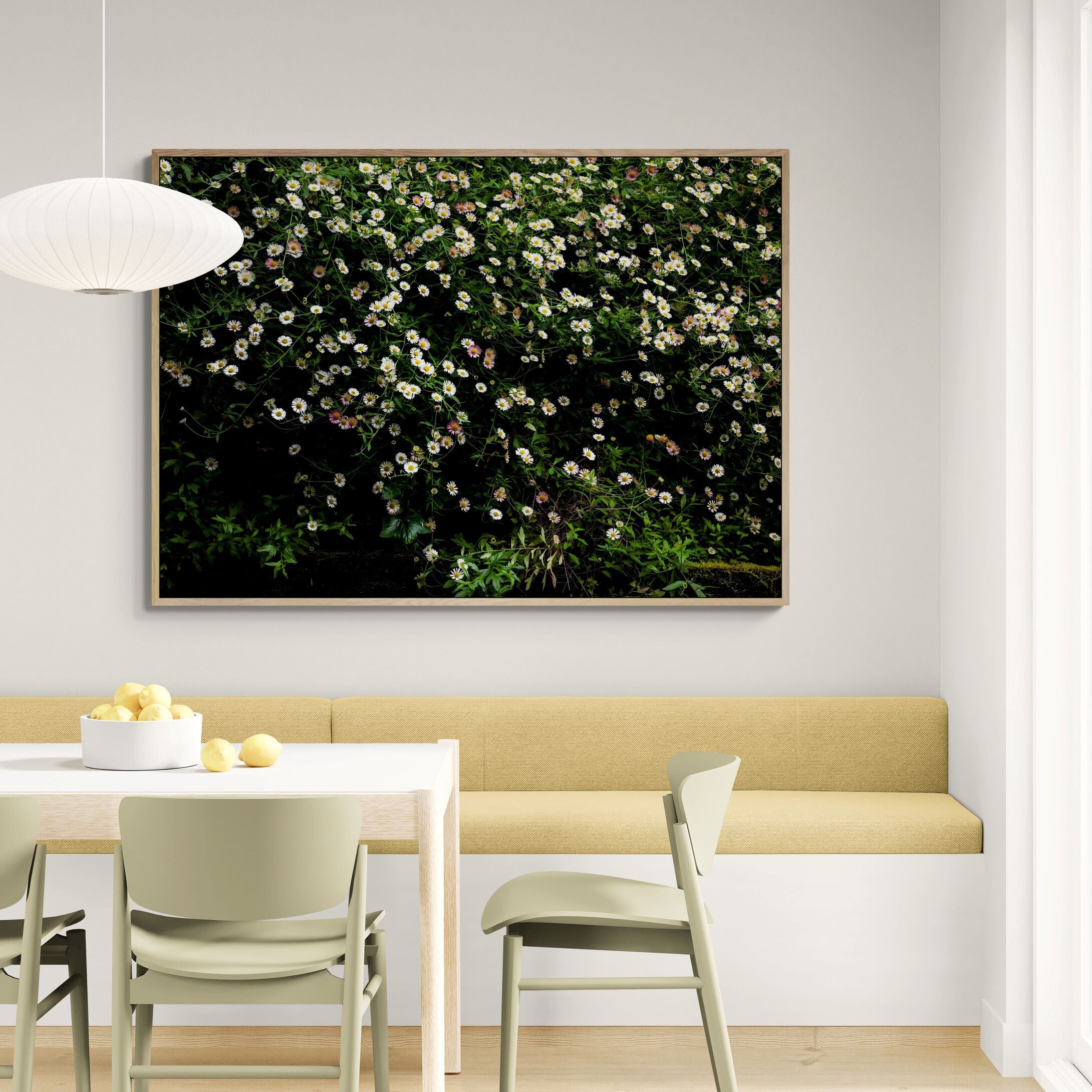The Daisy Bank | Canvas Print