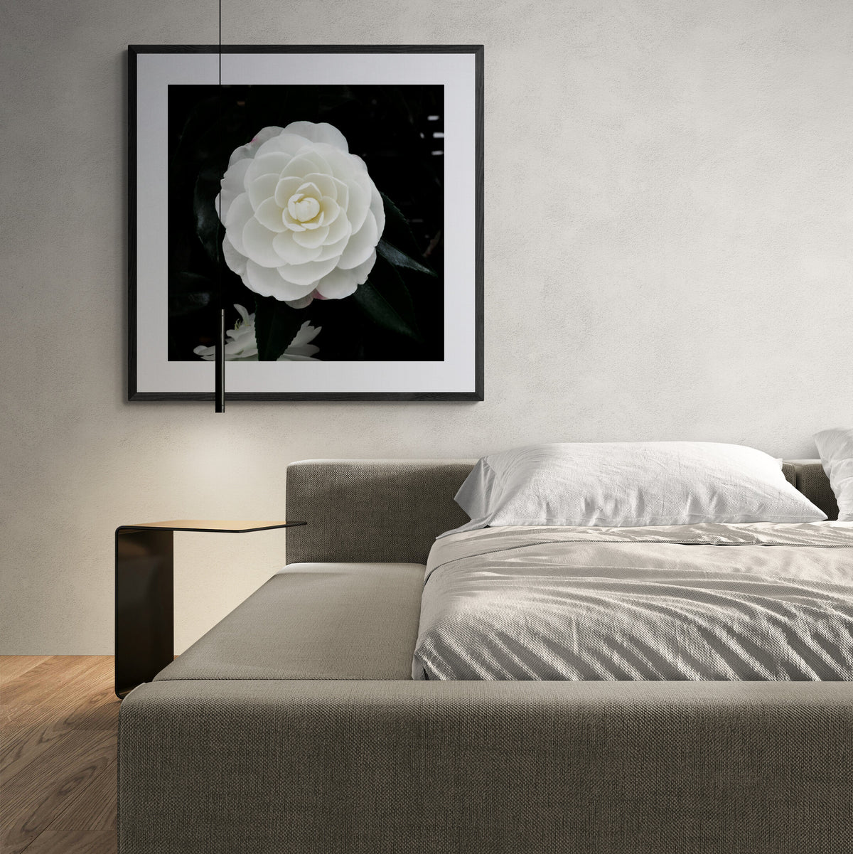 Early Pearly White Camellia Bloom | Open Edition Print