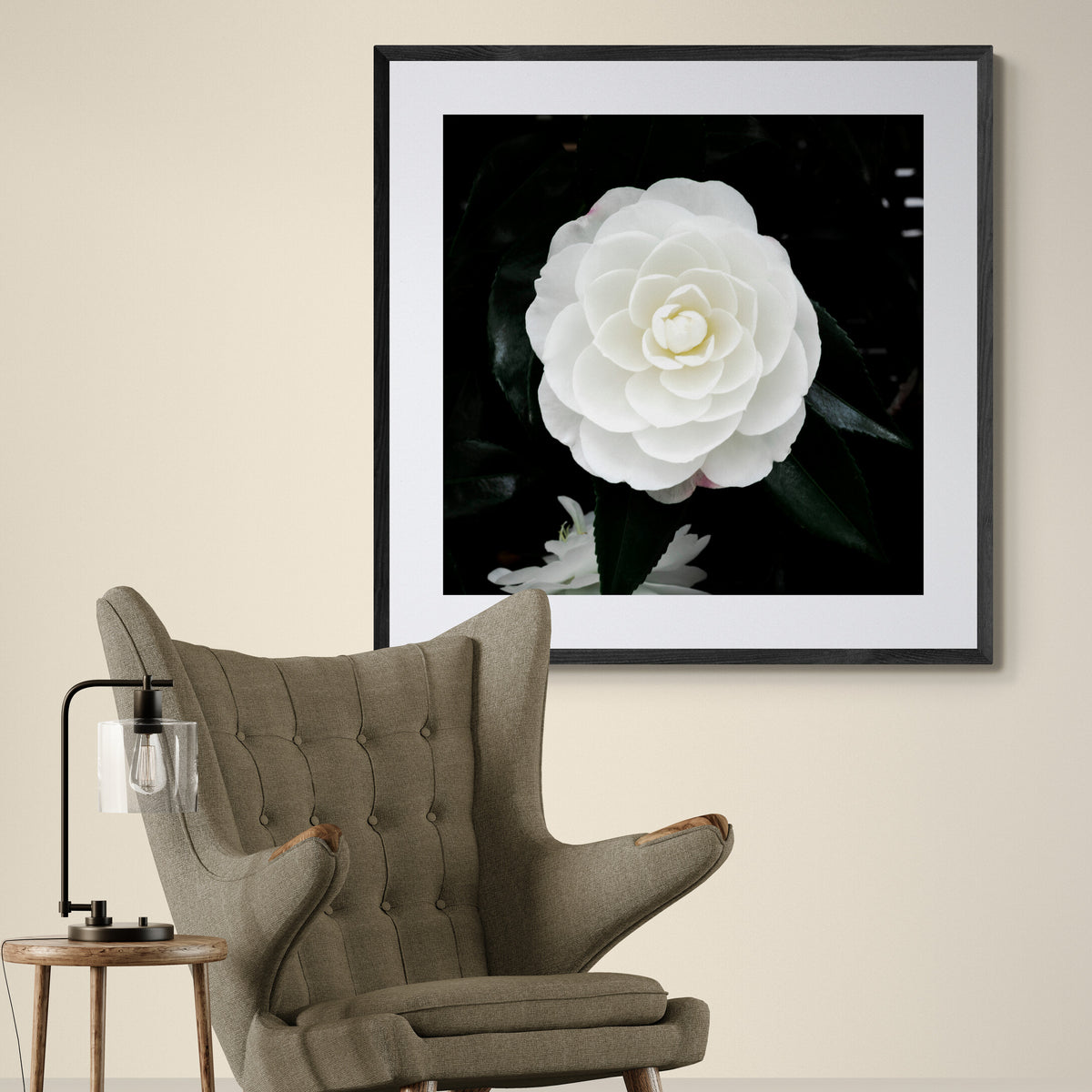 Early Pearly White Camellia Bloom | Open Edition Print
