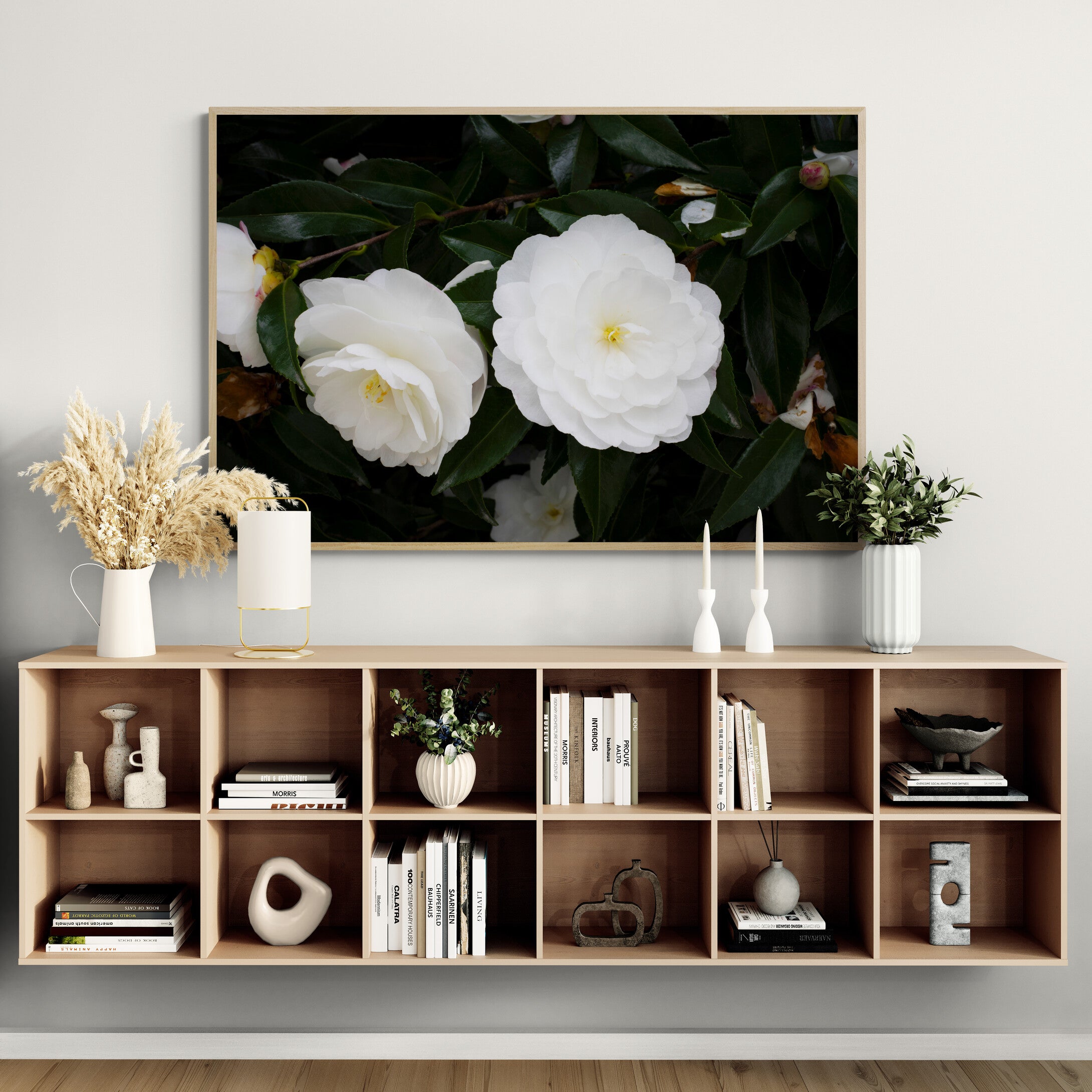 Early Pearly White Camellias | Canvas Print
