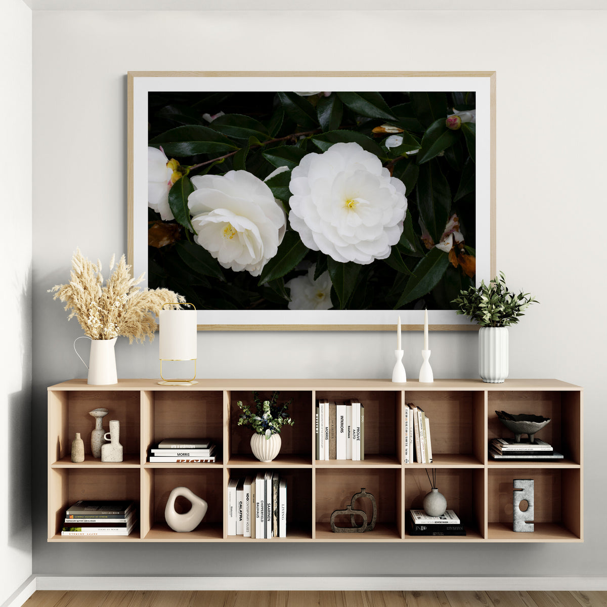 Early Pearly White Camellias | Open Edition Print
