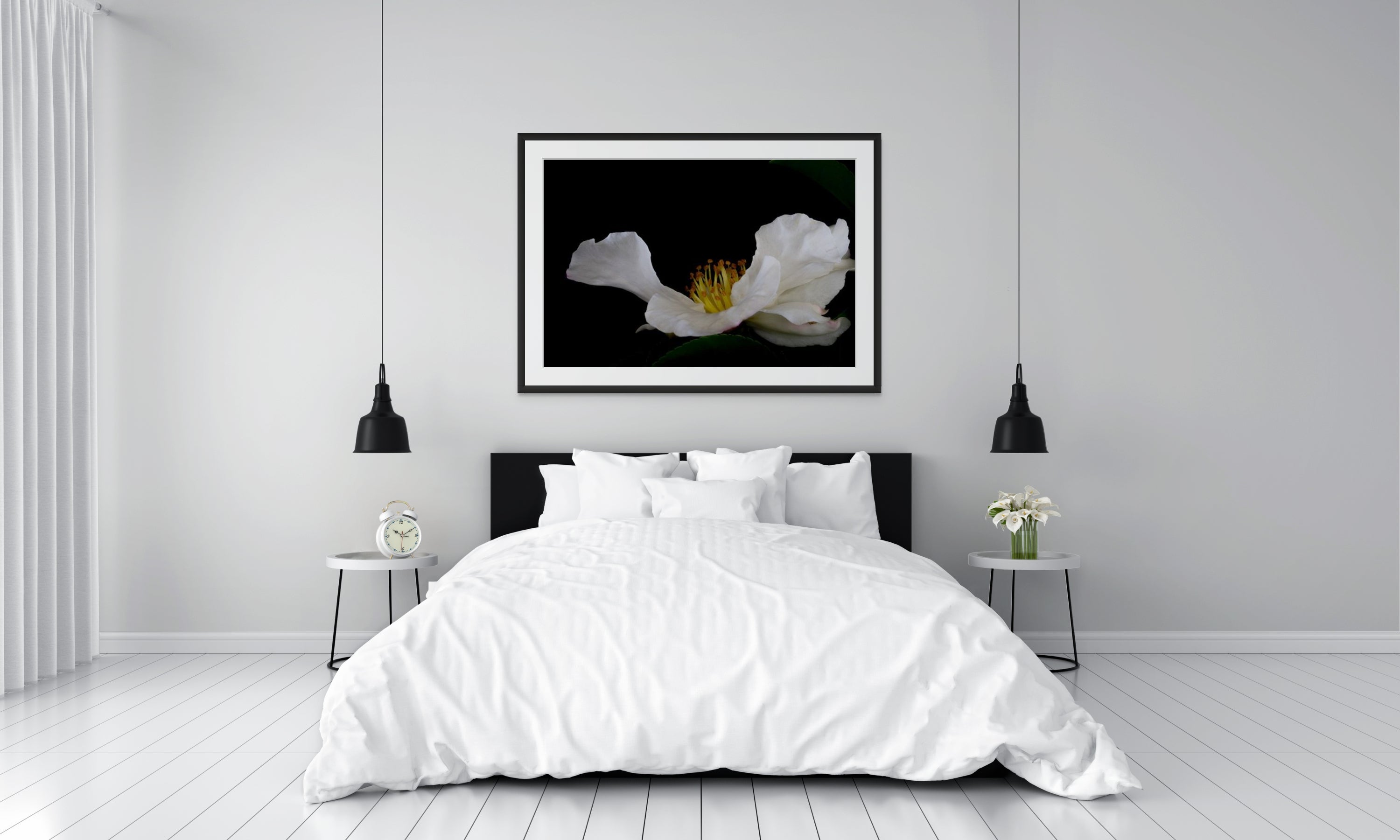 Floating White Camellia - Limited Edition Print
