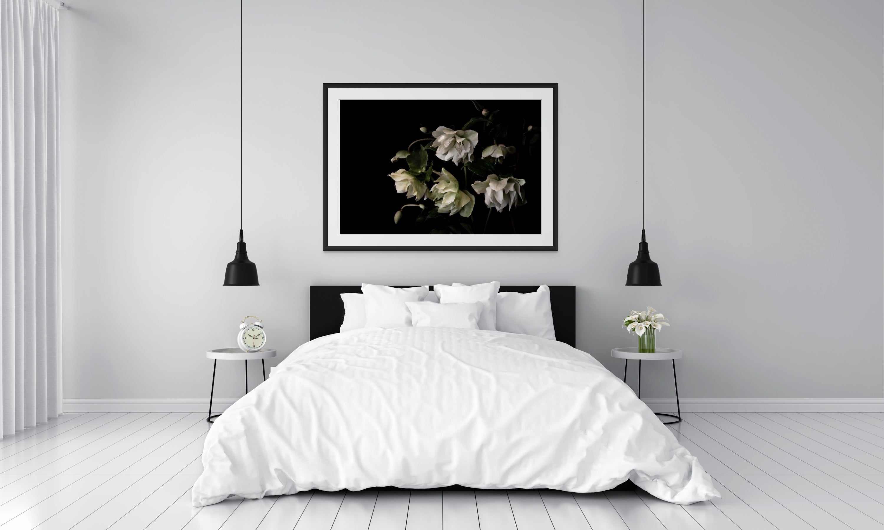 Hellebore Winter Rose - Limited Edition Print