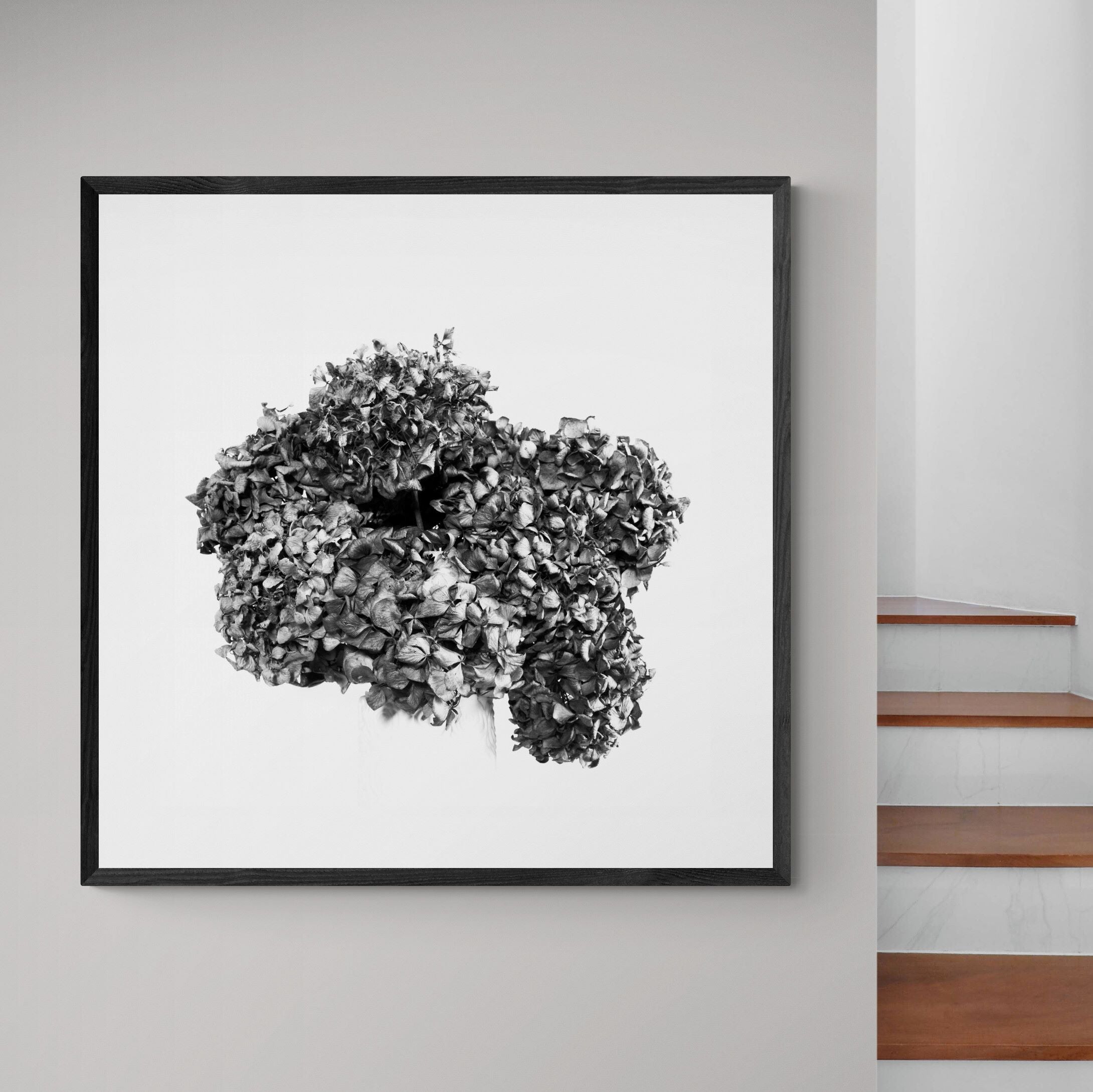 lasting blooms dried hydrangeas 2 print on interior-feature-wall-next-to-staircase by Kirsten Clark Art